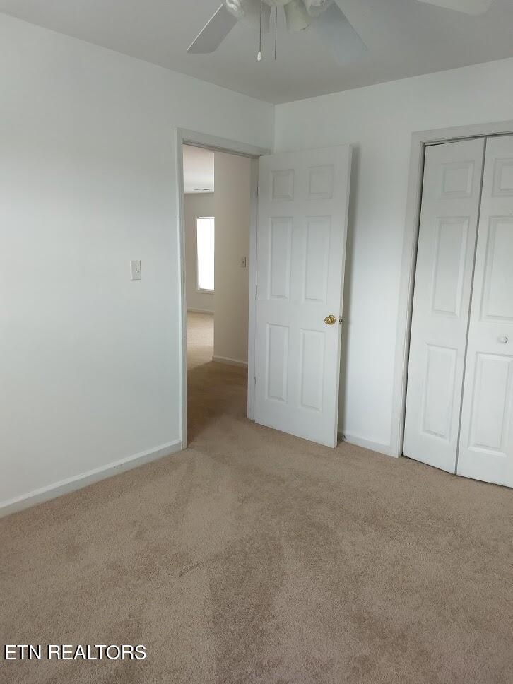1202 Bowman Loop Crossville TN 38571