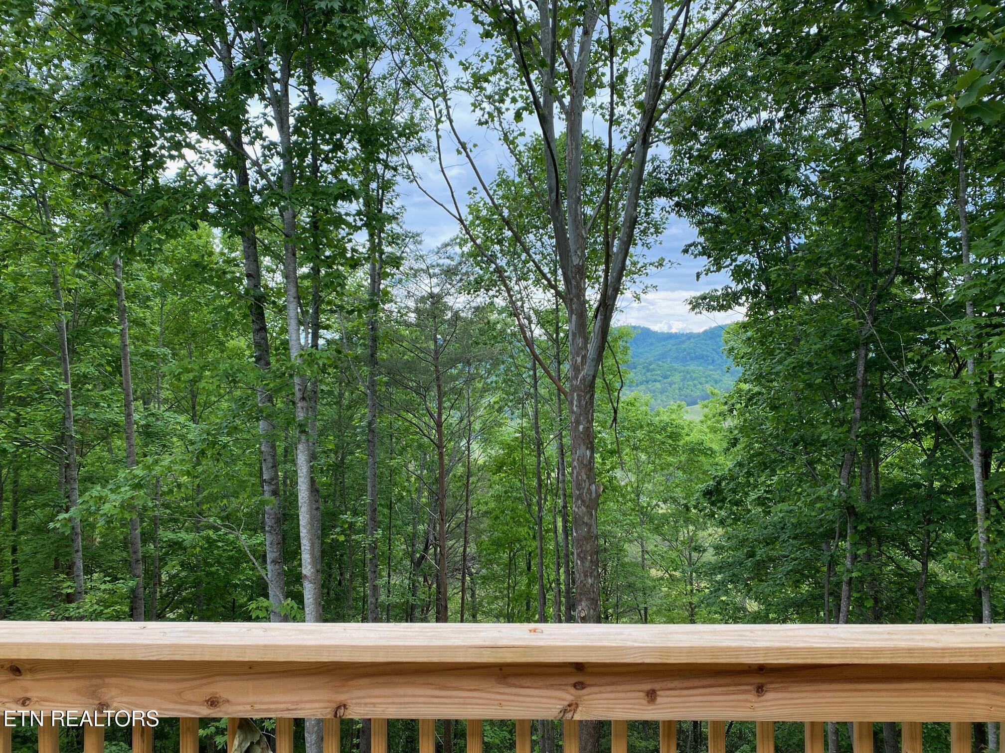 4128 Dolly's Drive Sevierville TN 37876