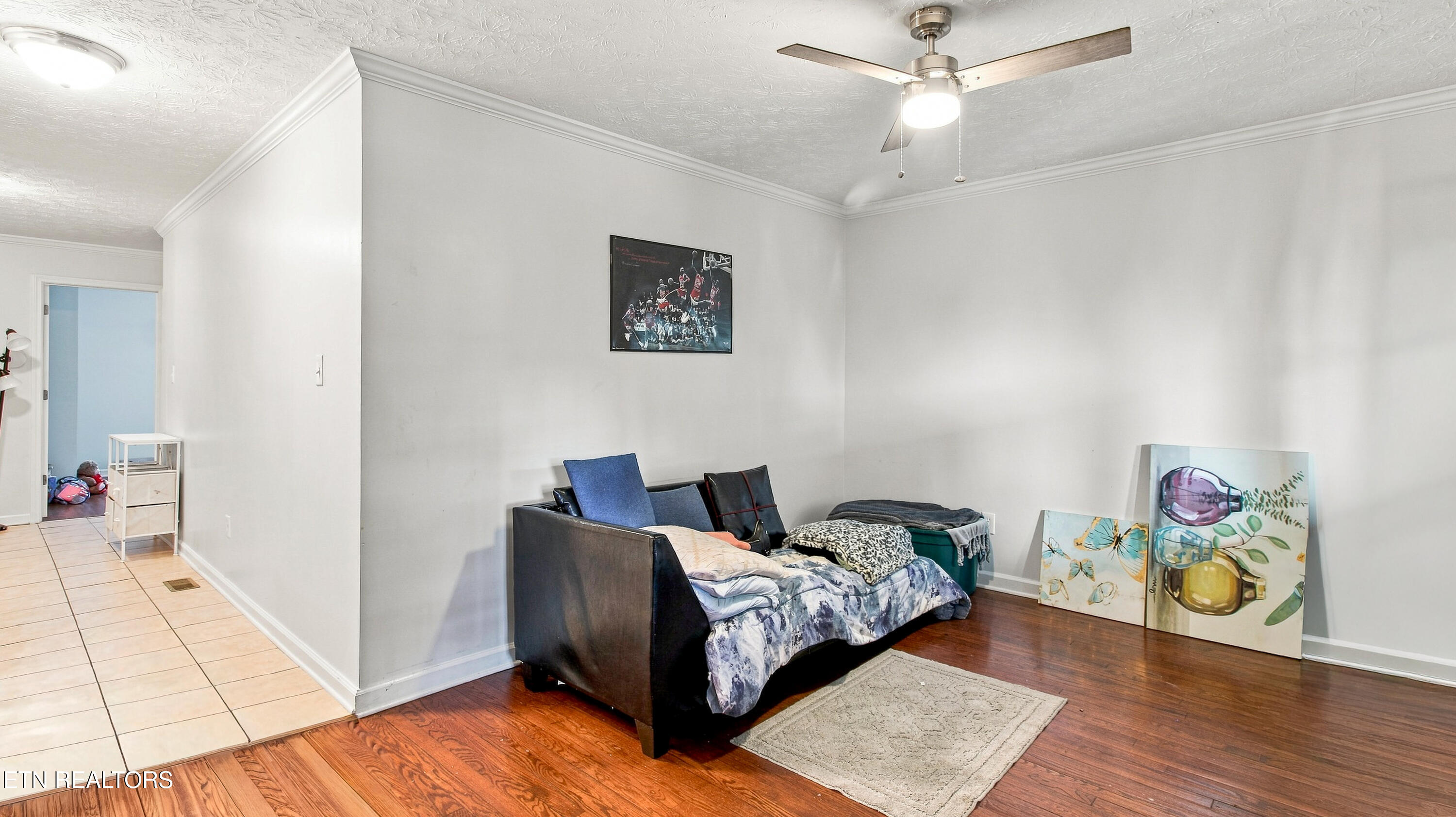 457 Cedar Avenue Knoxville TN 37917