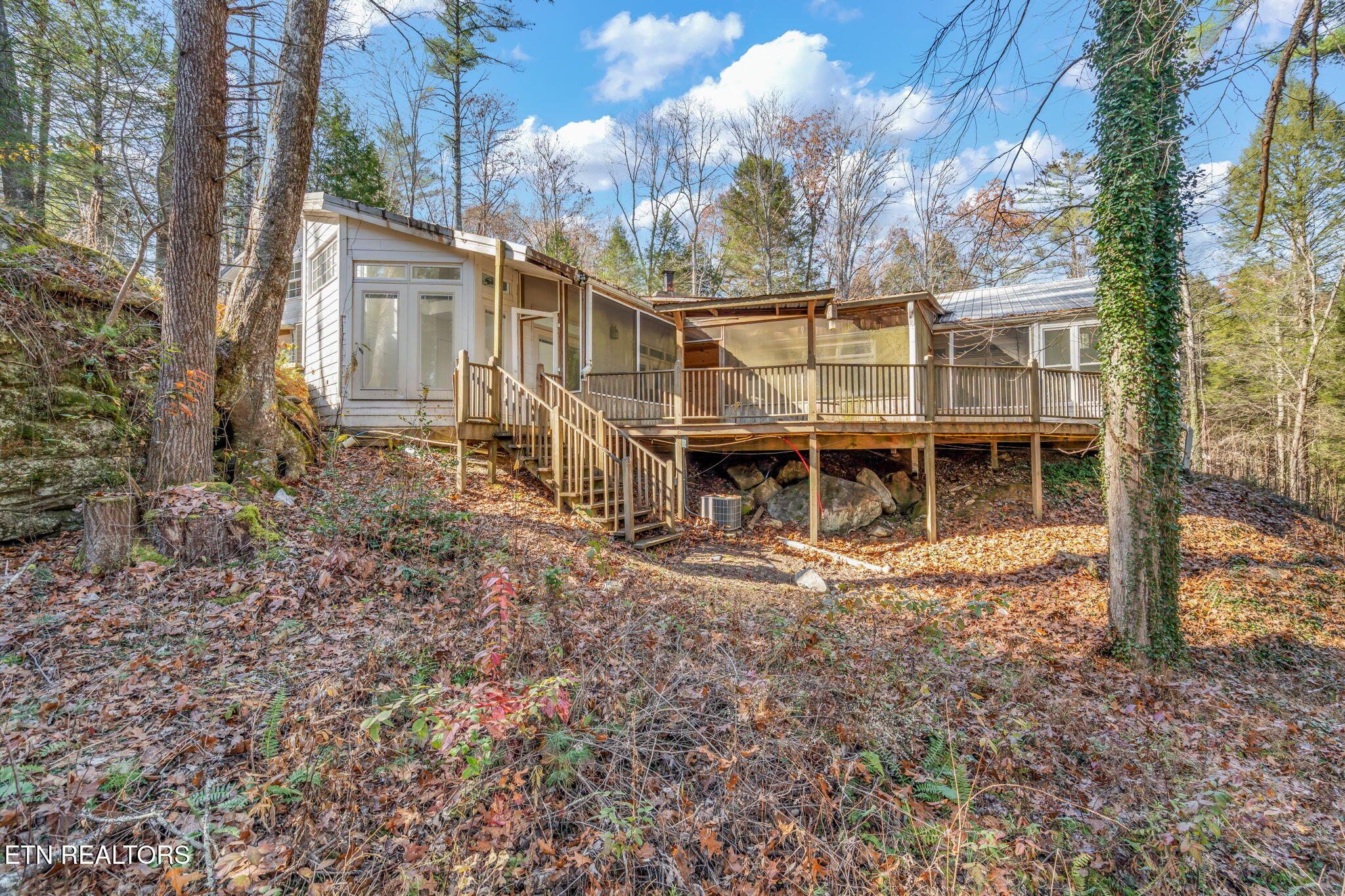 135 White Creek Court Deer Lodge TN 37726