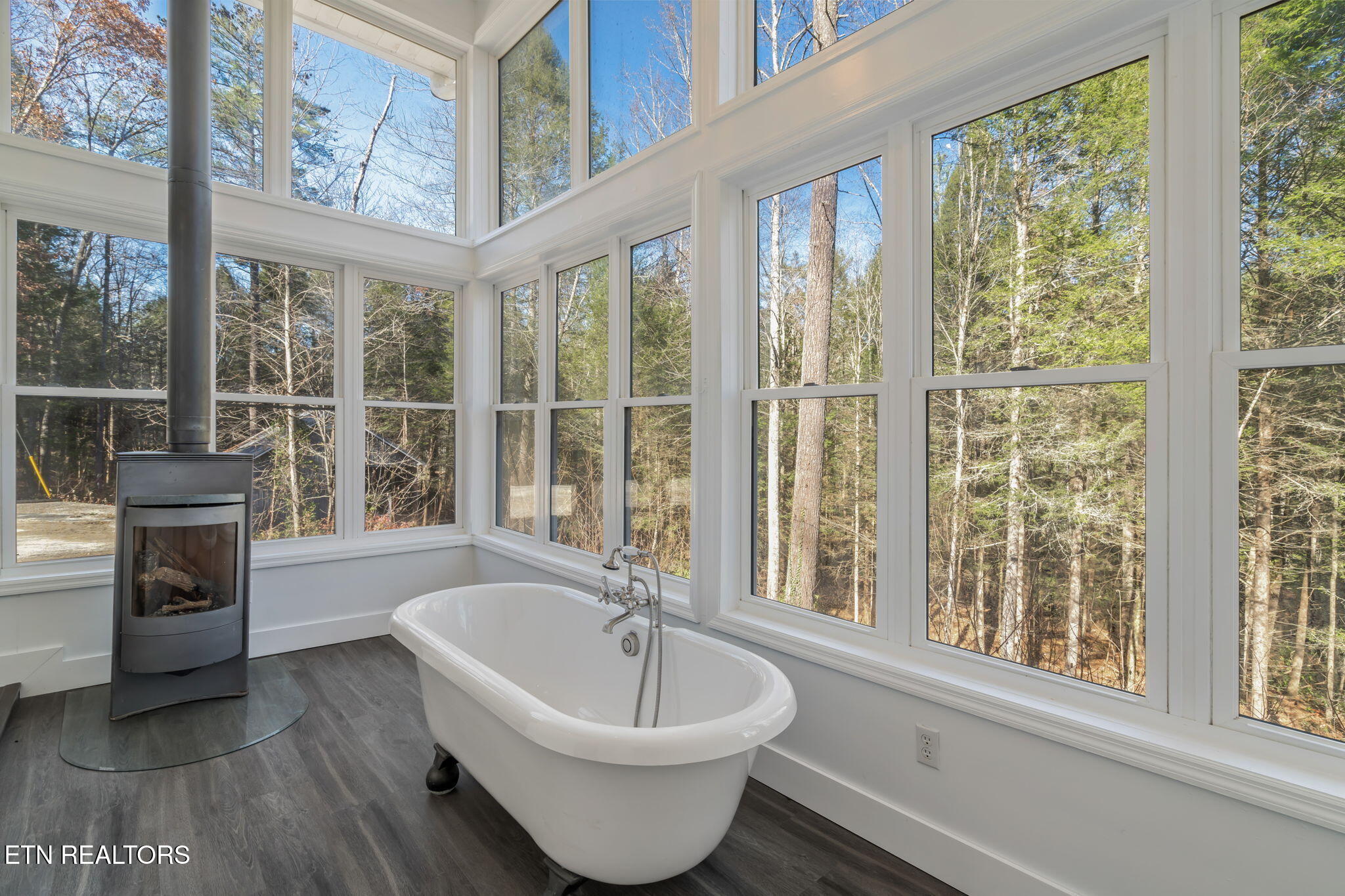 135 White Creek Court Deer Lodge TN 37726