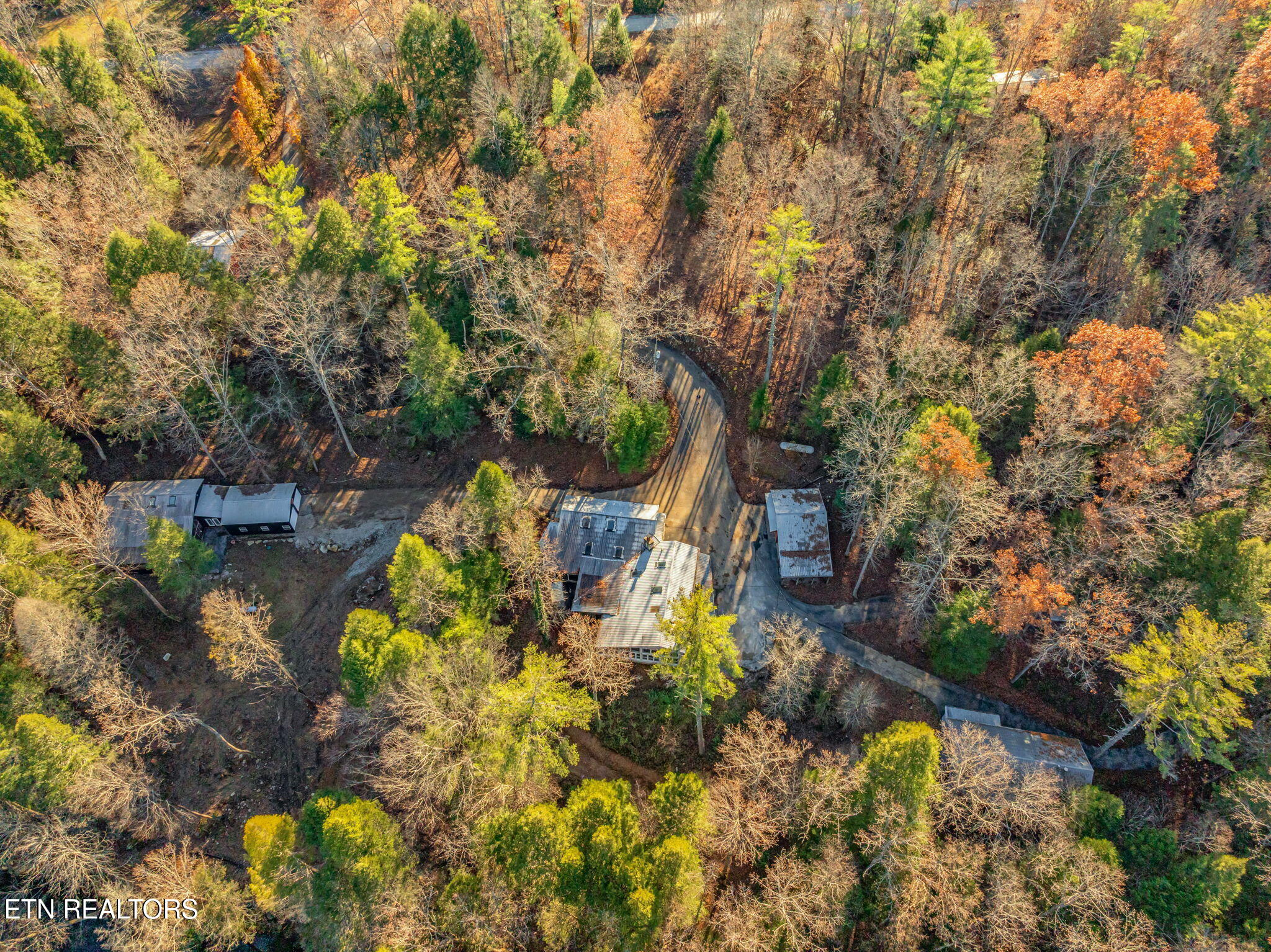 135 White Creek Court Deer Lodge TN 37726