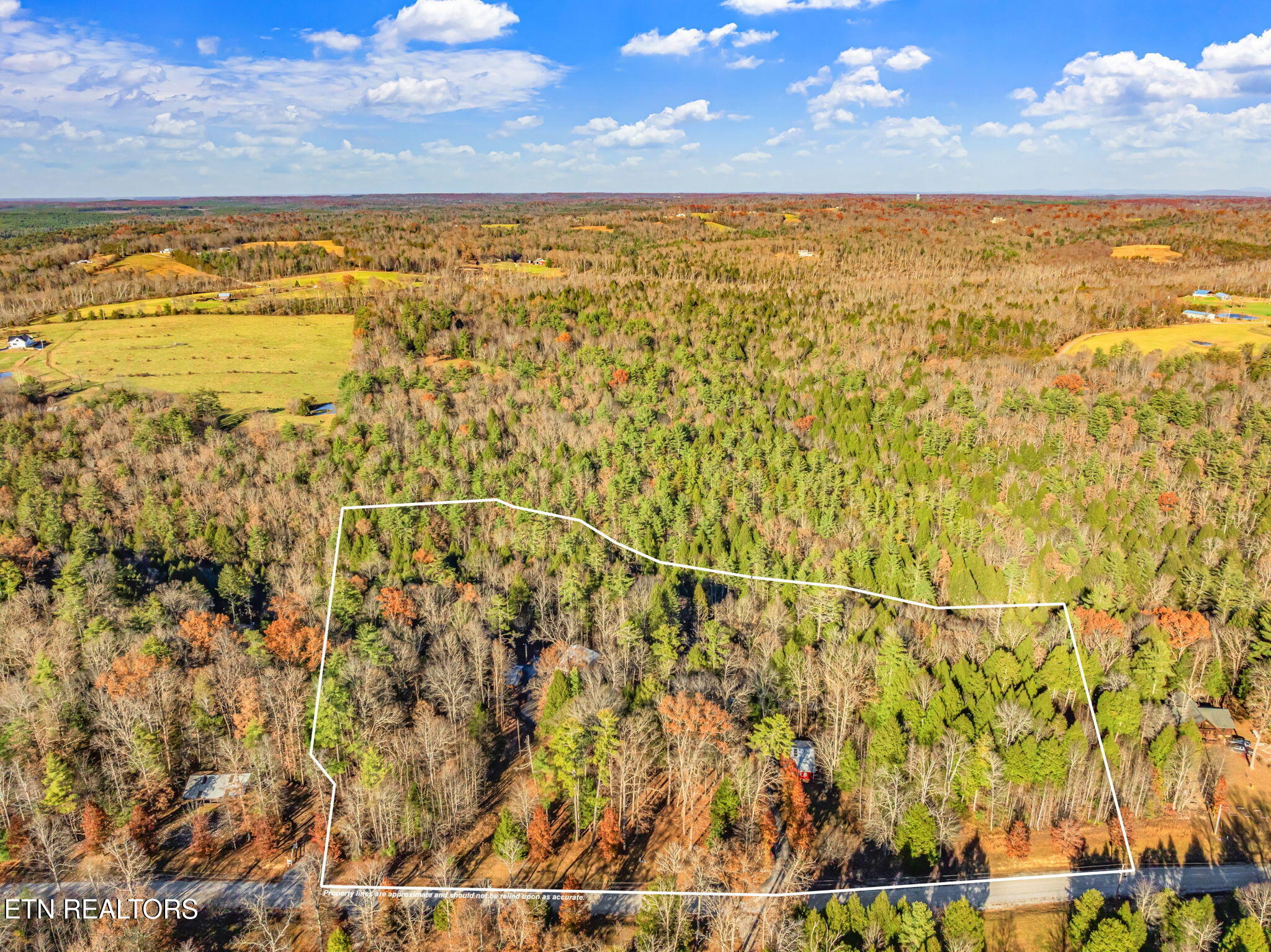 135 White Creek Court Deer Lodge TN 37726