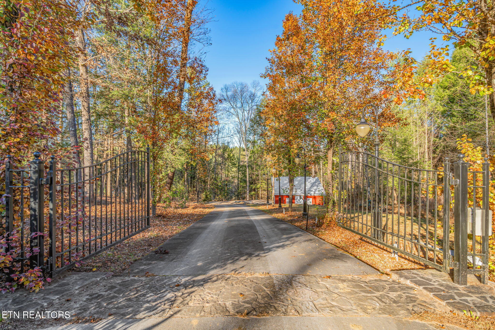 135 White Creek Court Deer Lodge TN 37726