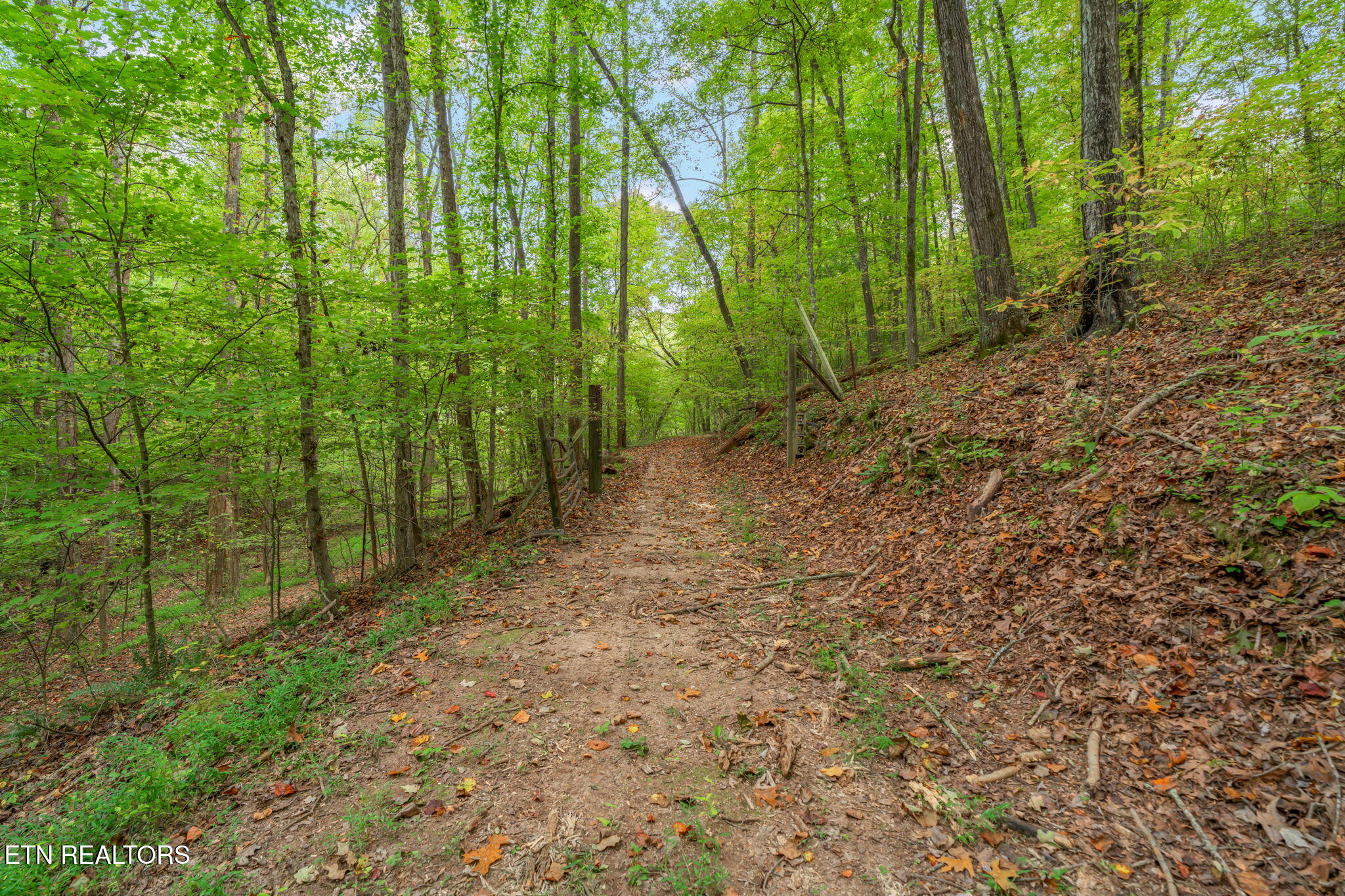 101 142 Autumn Lane Kingston TN 37763