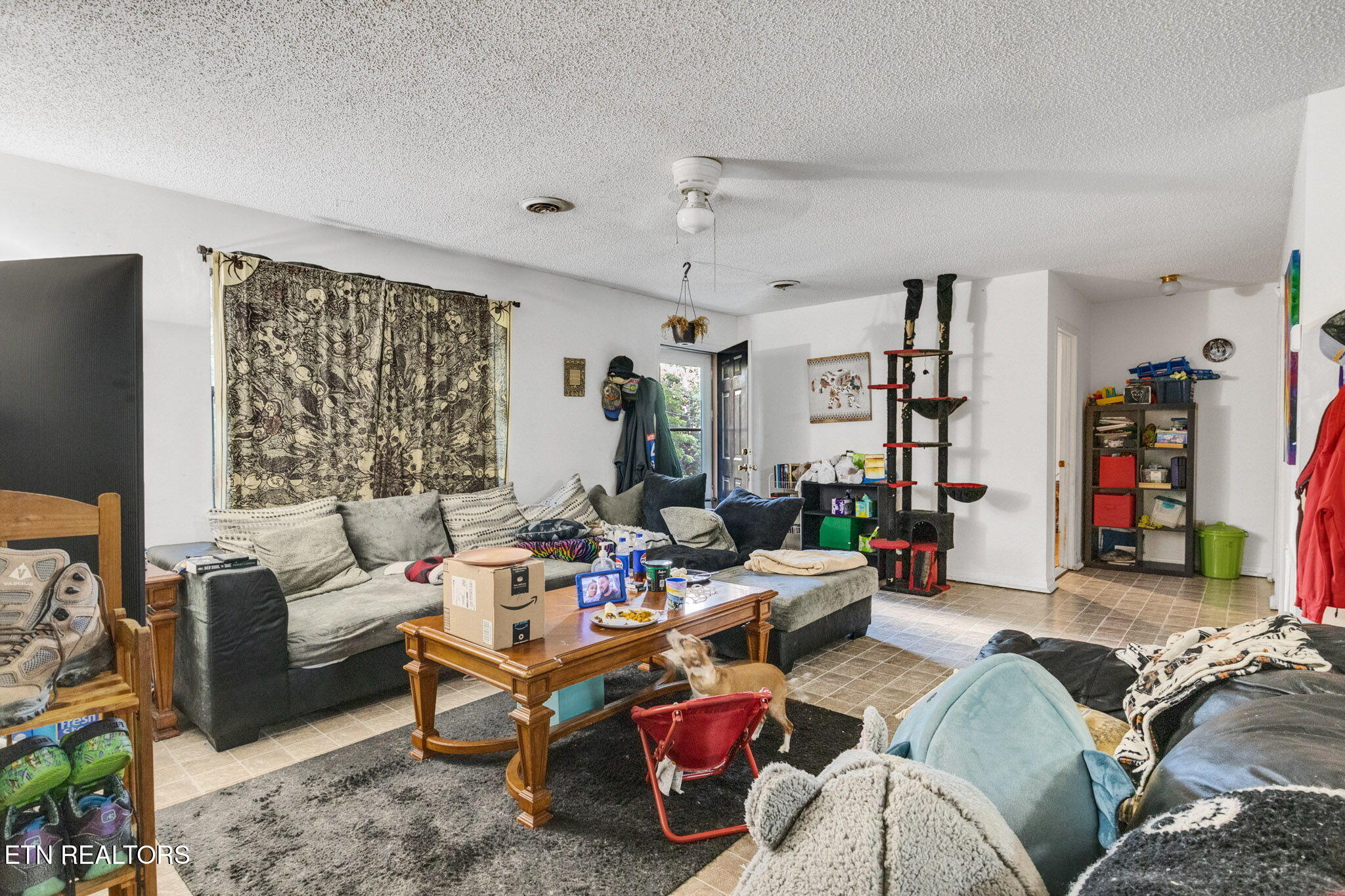 116 Hazel Drive Sevierville TN 37862
