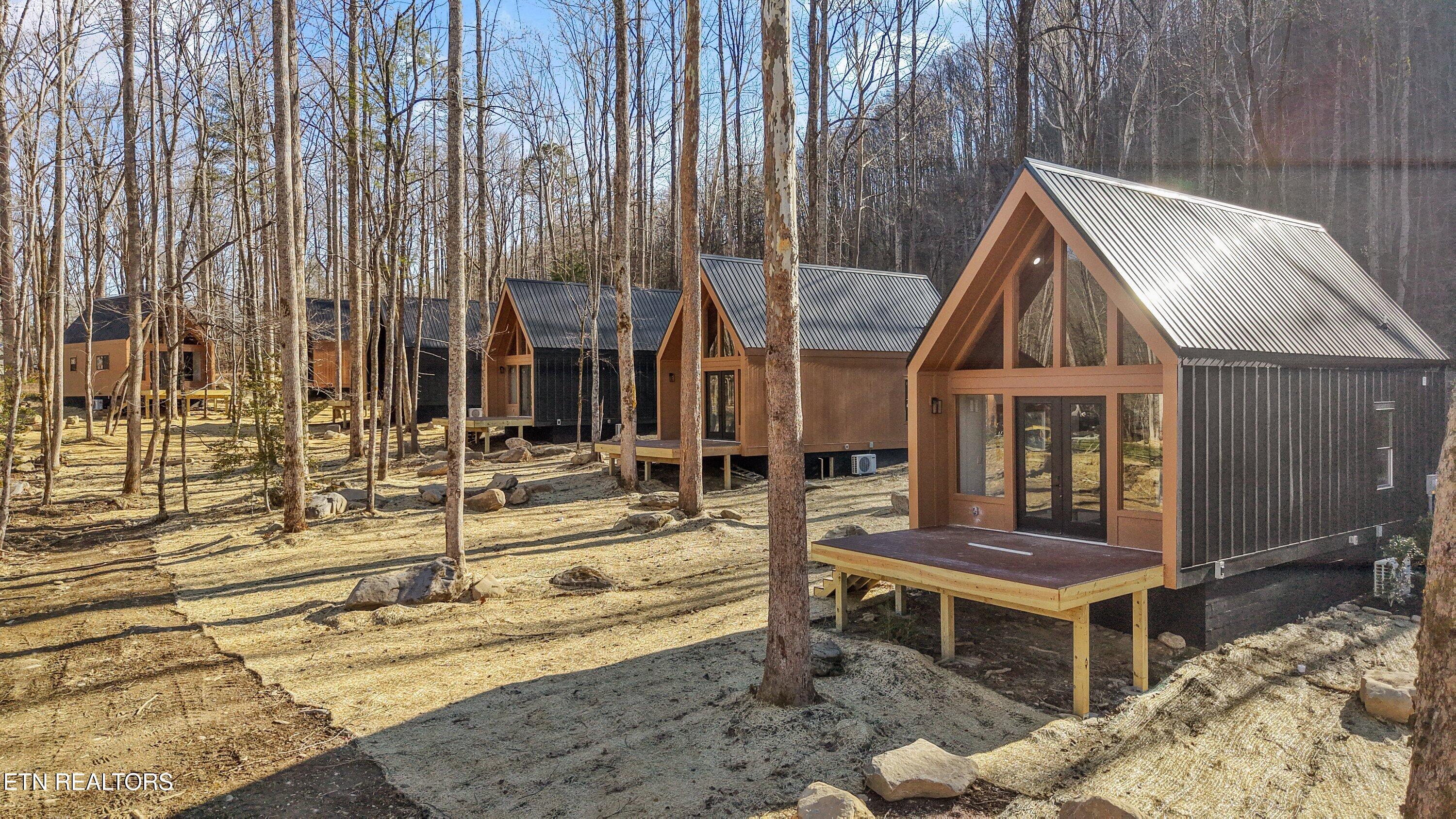 204-234 Braydens Way Gatlinburg TN 37738