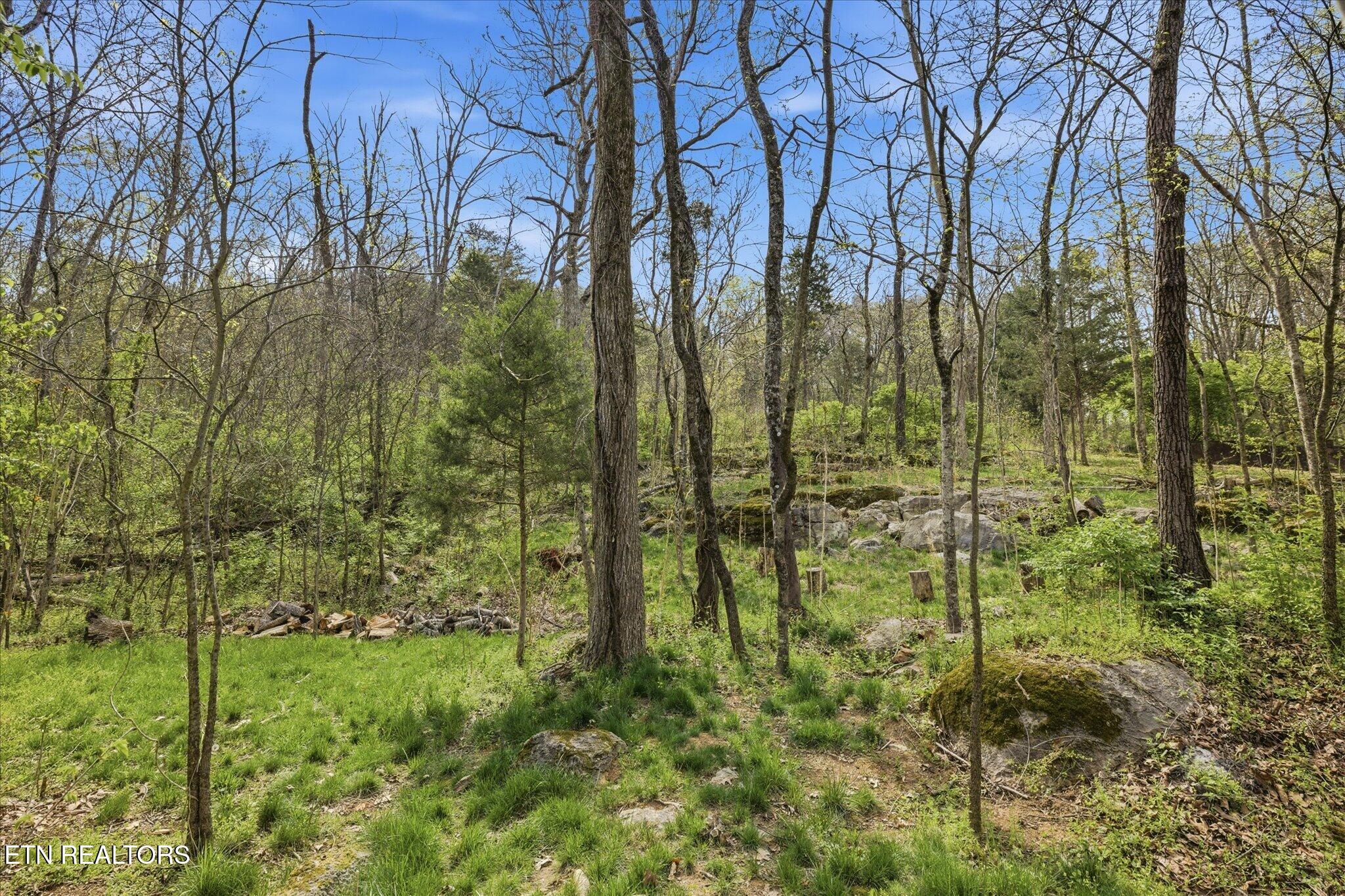 799 Haynes Road Dandridge TN 37725