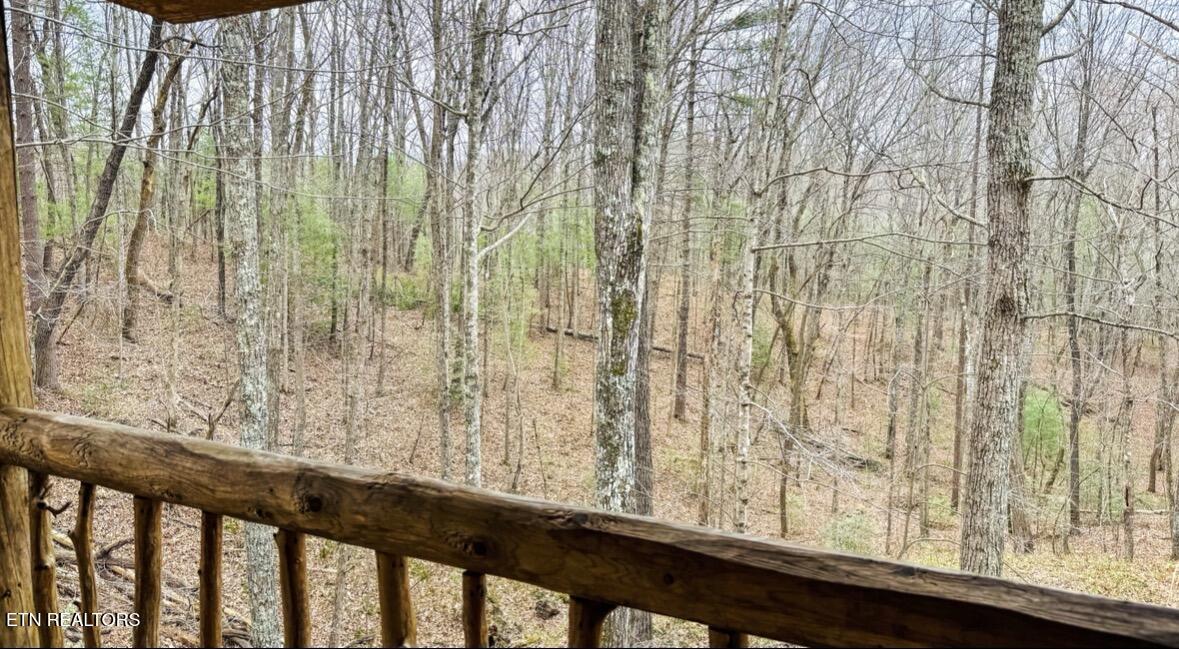 495 Bear Hollow Road Oneida TN 37841