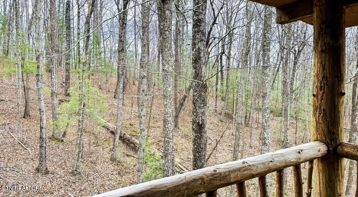 495 Bear Hollow Road Oneida TN 37841