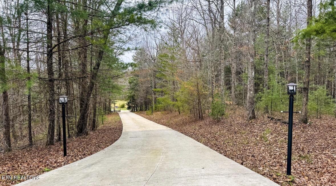 495 Bear Hollow Road Oneida TN 37841
