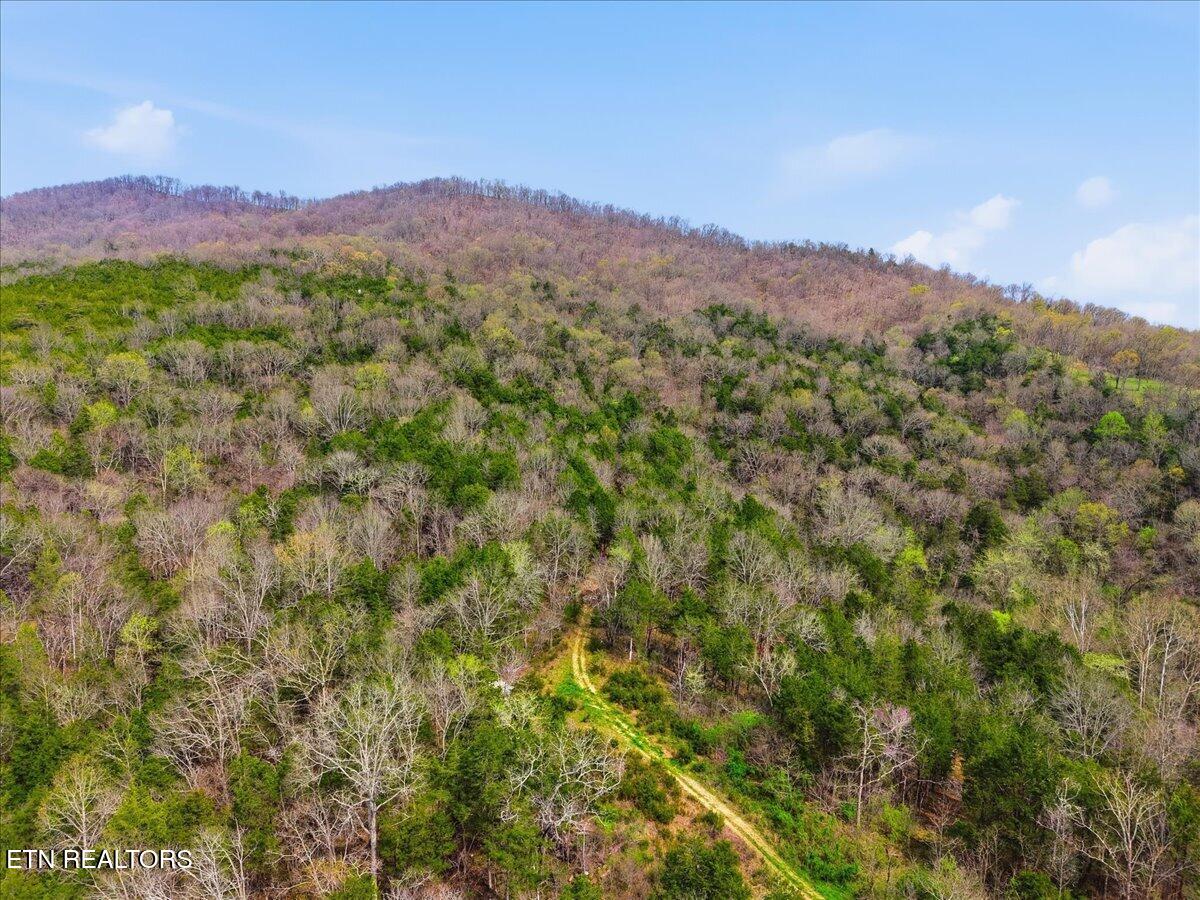 365 Young Lane Tazewell TN 37879