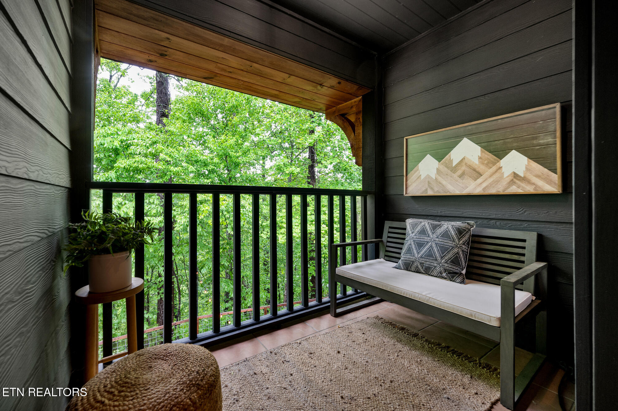 4155 Dollys Drive Sevierville TN 37876