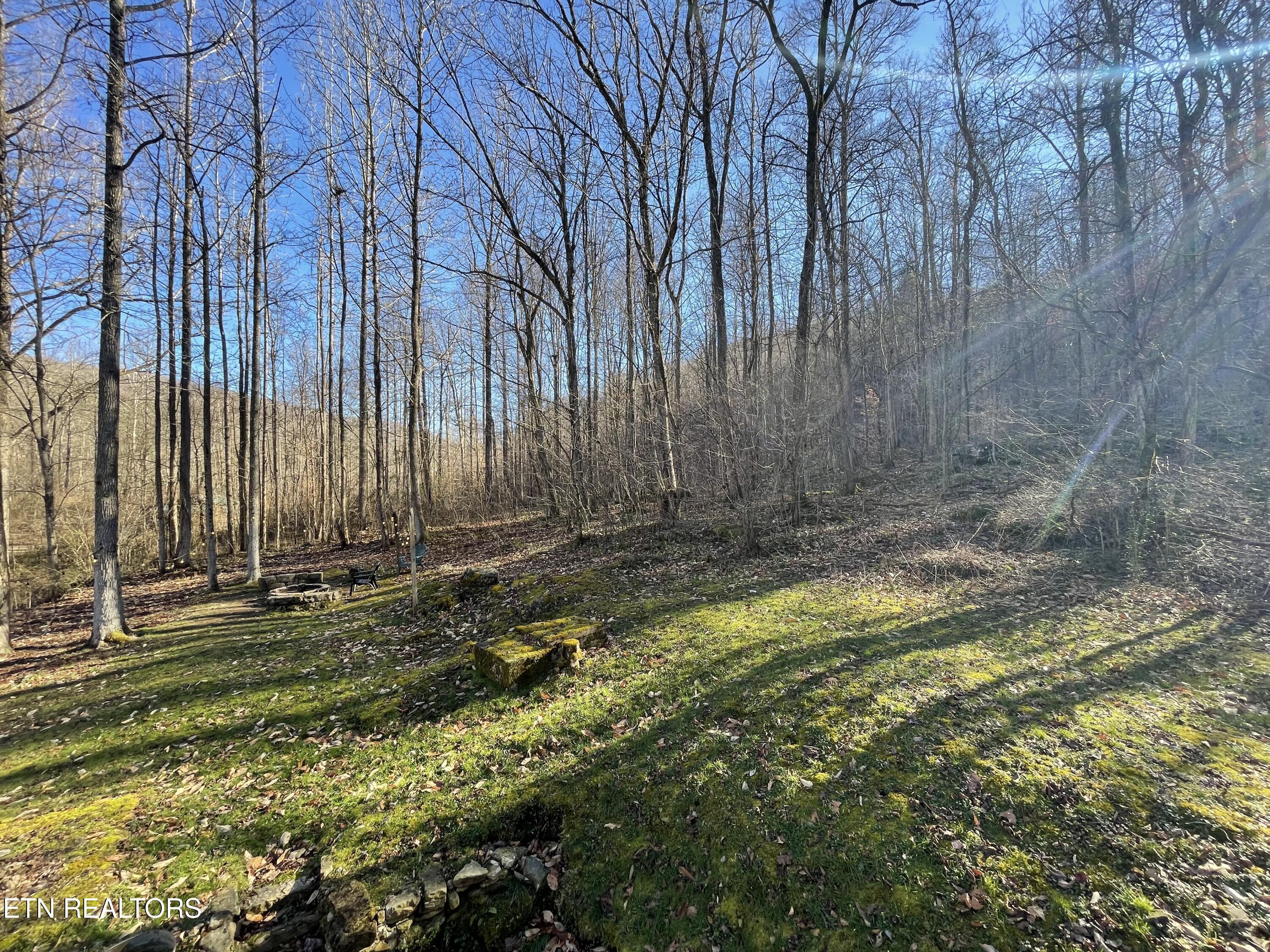 5901 New River Highway Briceville TN 37710