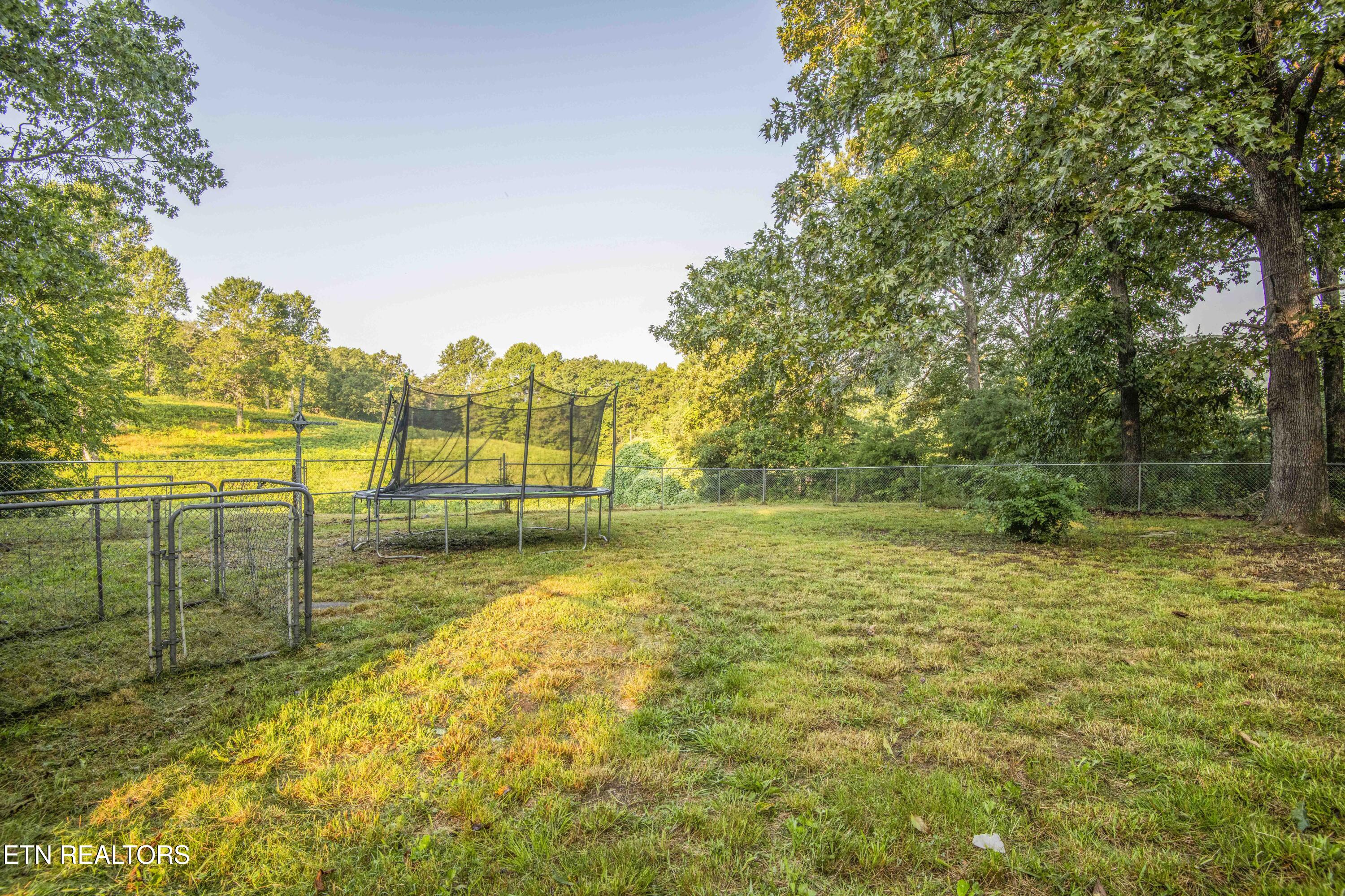 197 Wedgewood Lane Spring City TN 37381