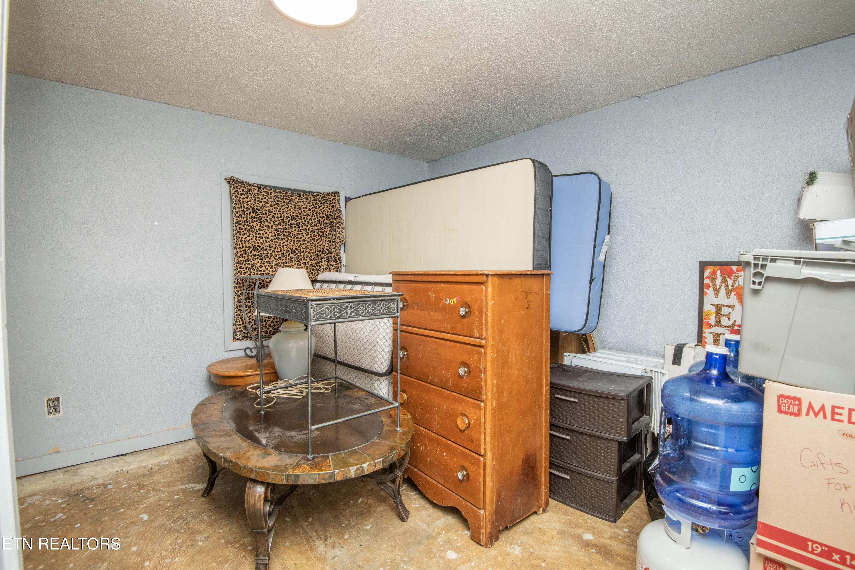 197 Wedgewood Lane Spring City TN 37381