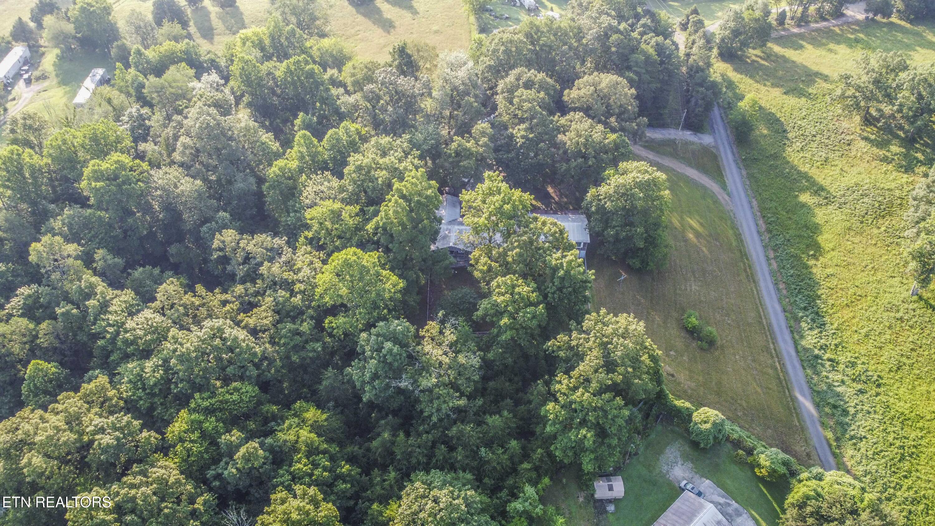 197 Wedgewood Lane Spring City TN 37381