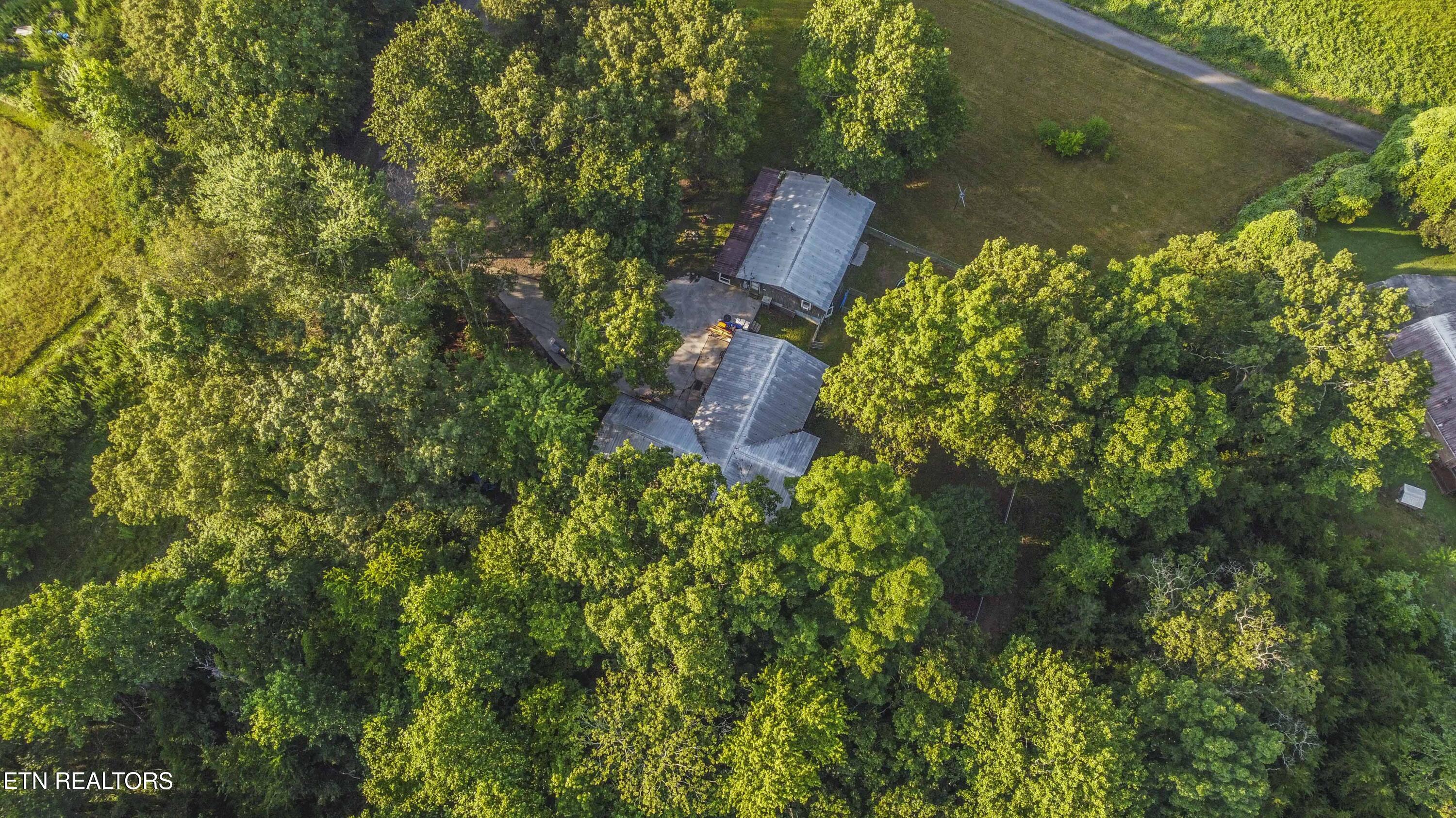 197 Wedgewood Lane Spring City TN 37381