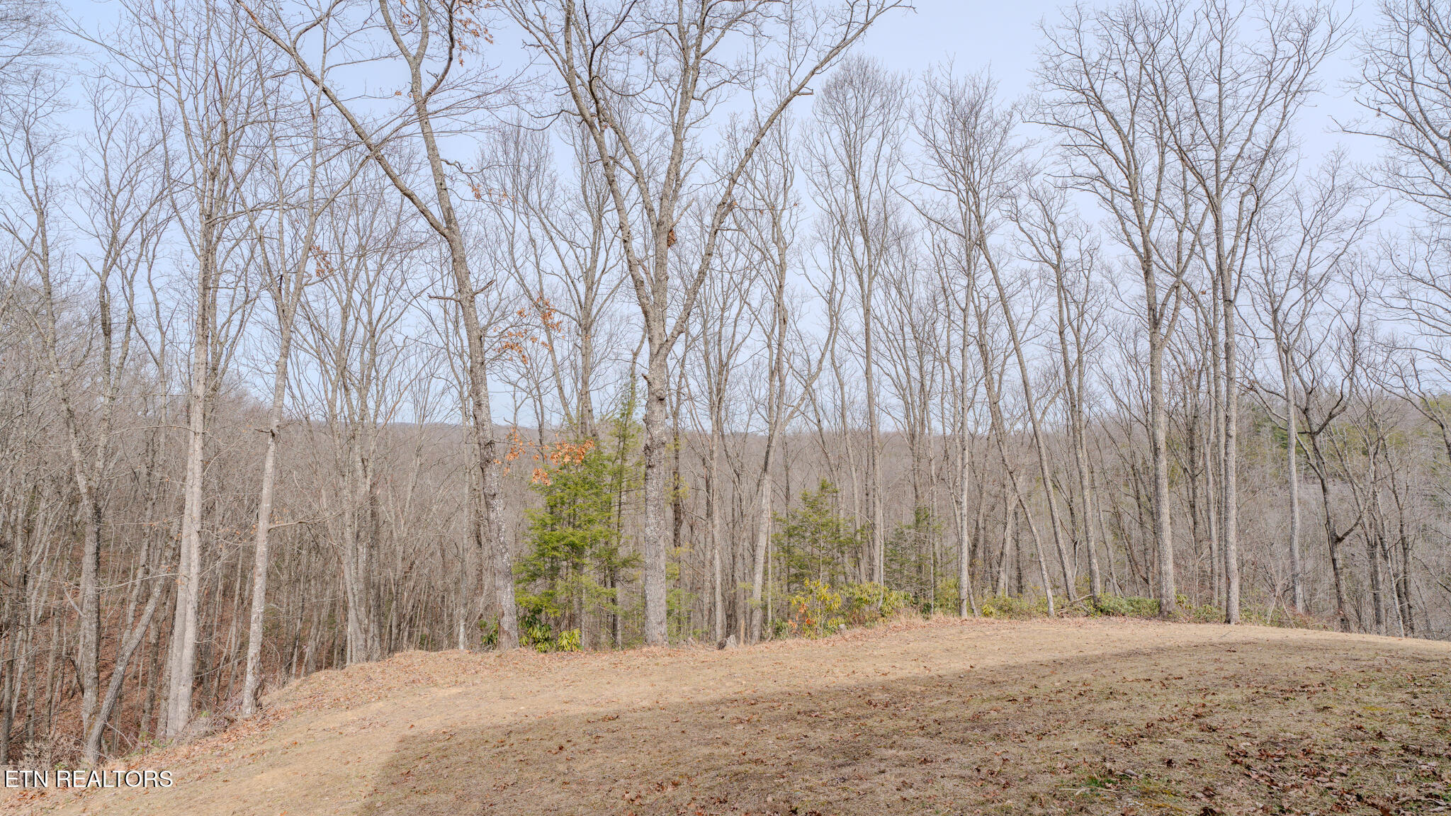 336 John J Smith Road Oneida TN 37841