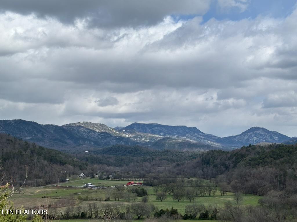 1701 Birch Drive Sevierville TN 37876