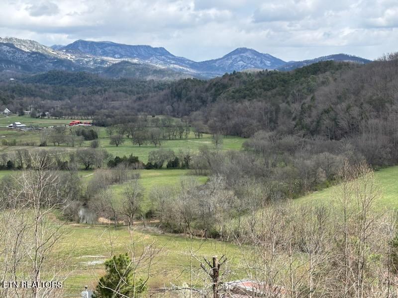 1701 Birch Drive Sevierville TN 37876