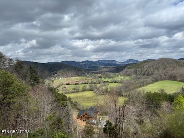 1701 Birch Drive Sevierville TN 37876