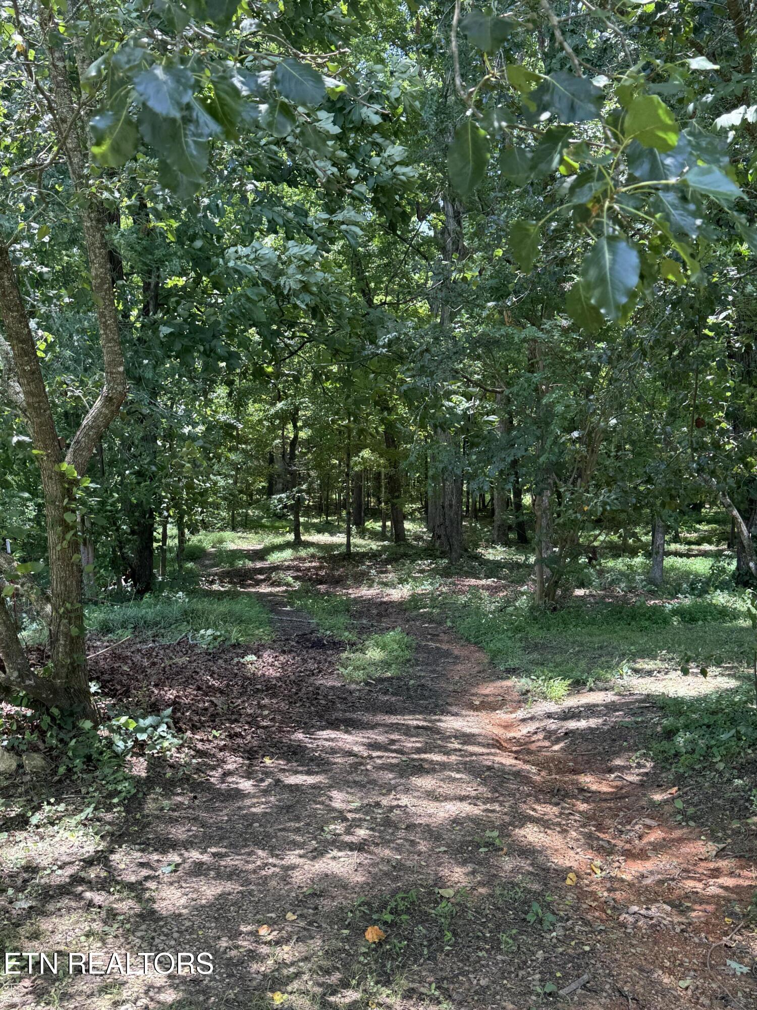 426 & 422 County Road 728. (58.5 Acres) Riceville TN 37370
