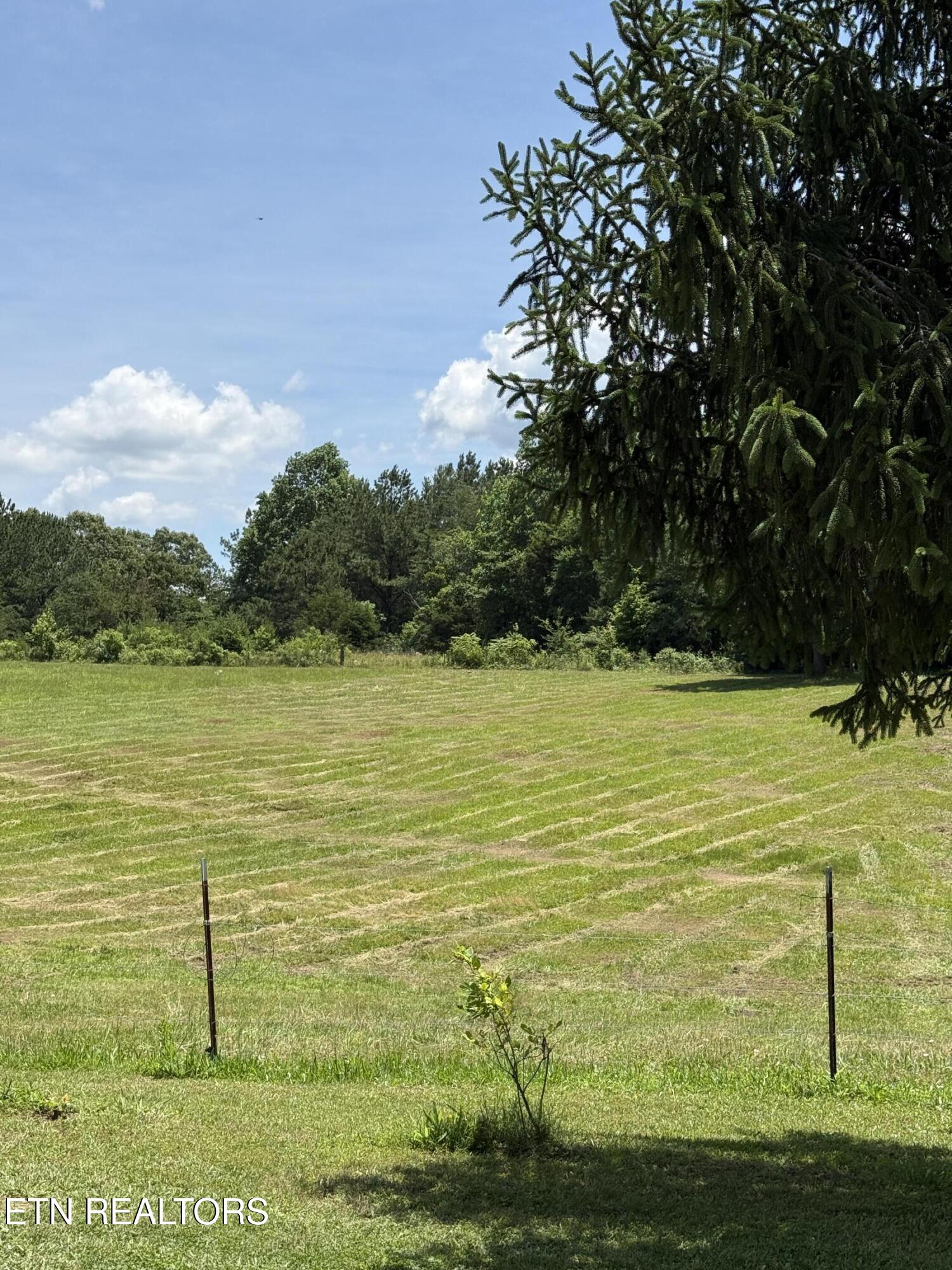 426 & 422 County Road 728. (58.5 Acres) Riceville TN 37370