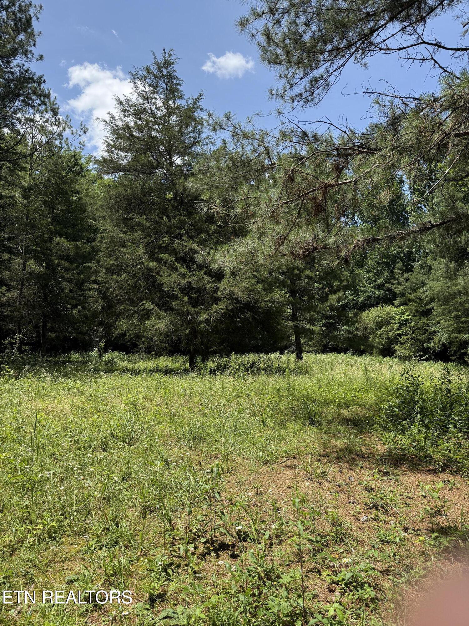 426 & 422 County Road 728. (58.5 Acres) Riceville TN 37370