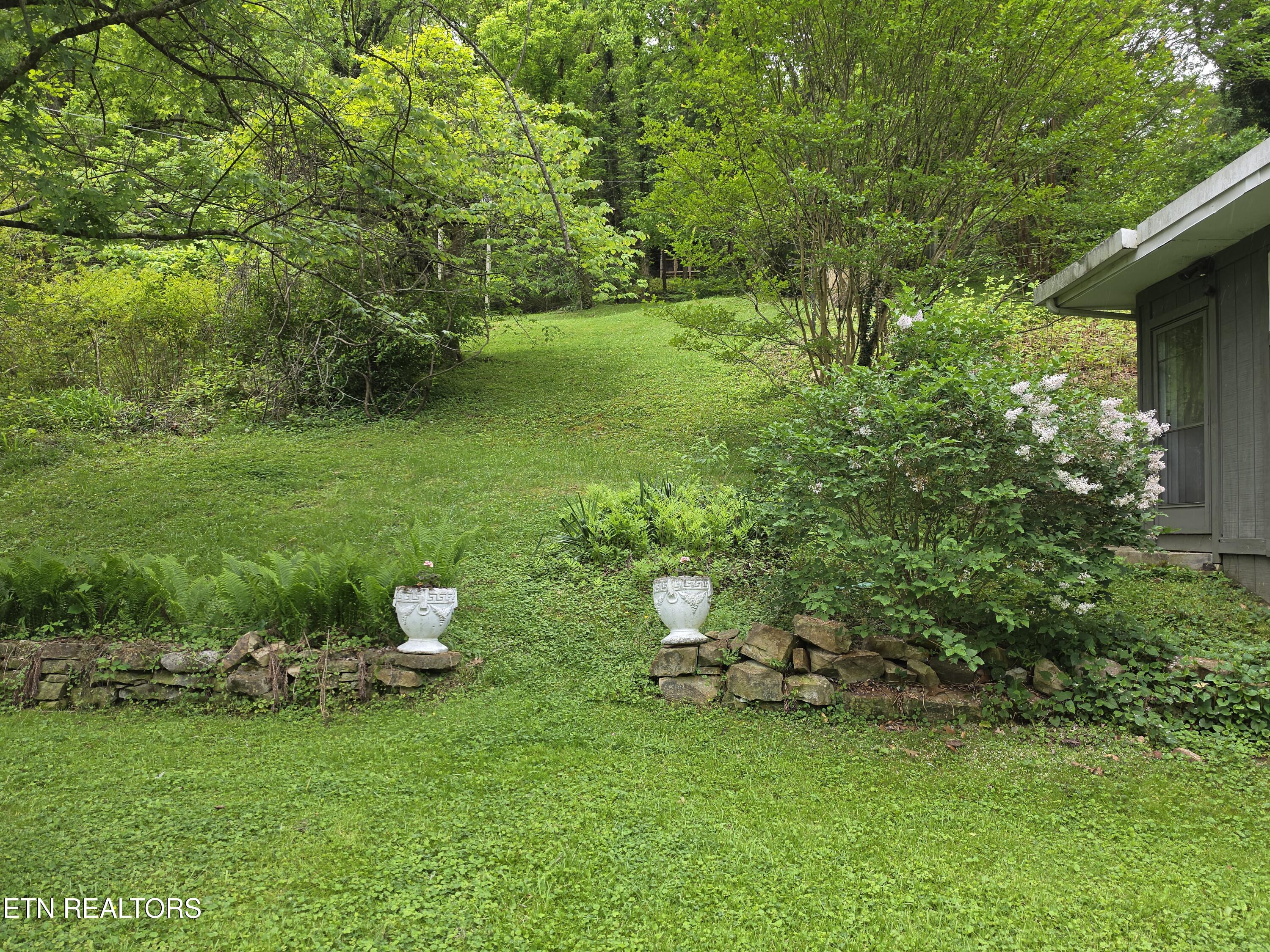 327 Colwyn Avenue Cumberland Gap TN 37724