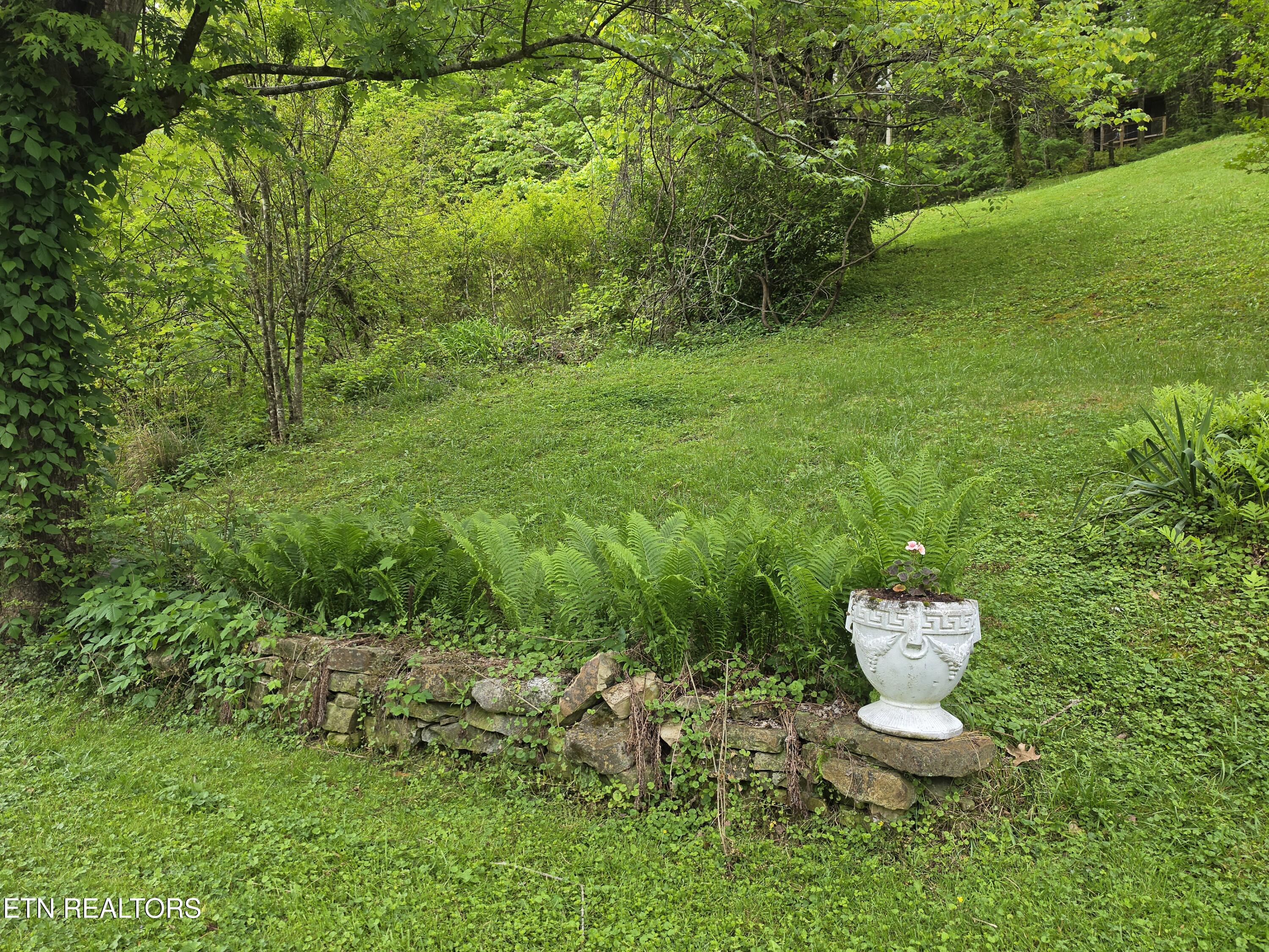 327 Colwyn Avenue Cumberland Gap TN 37724