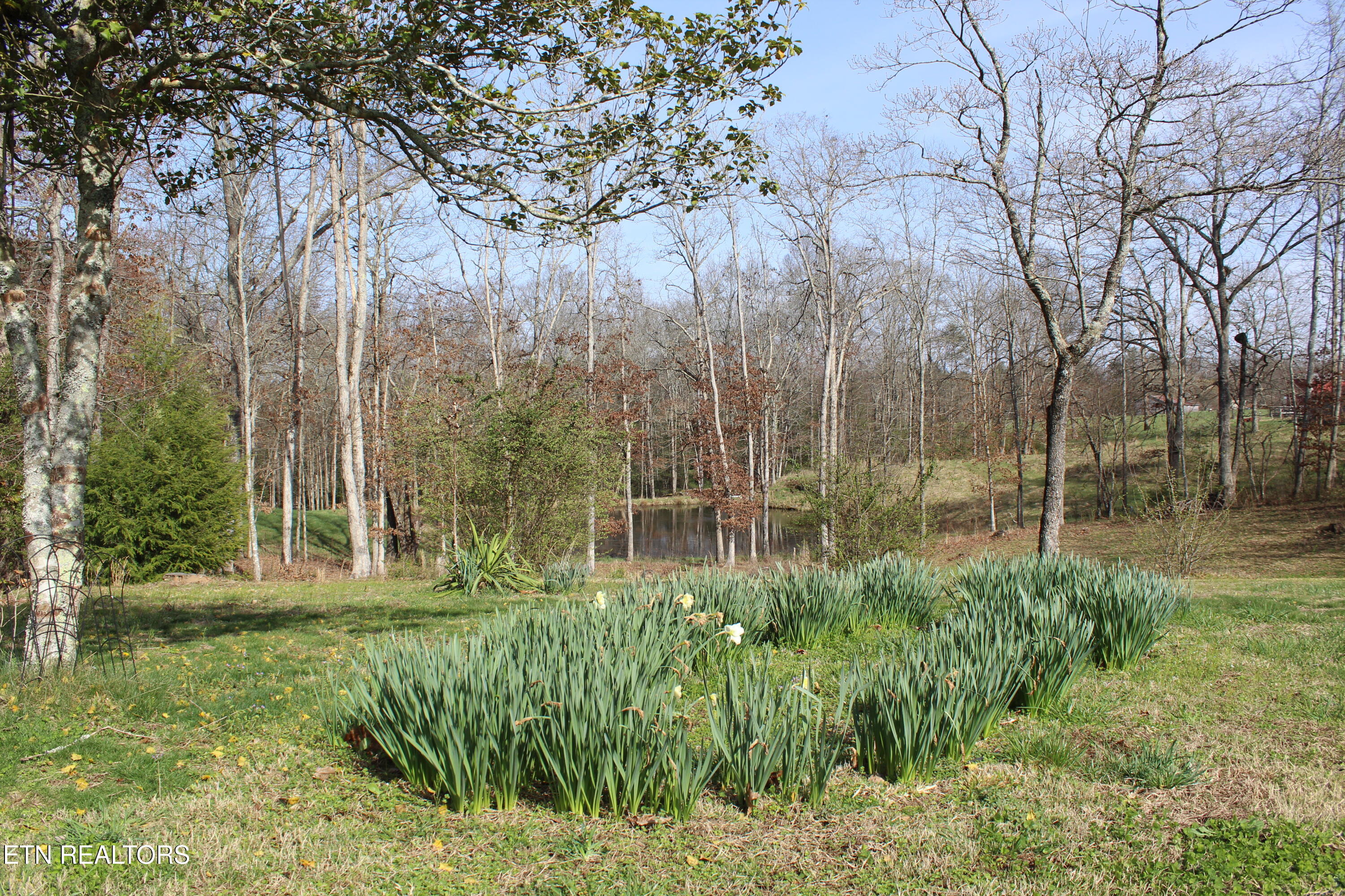 128 Scott Creek Road Crossville TN 38571