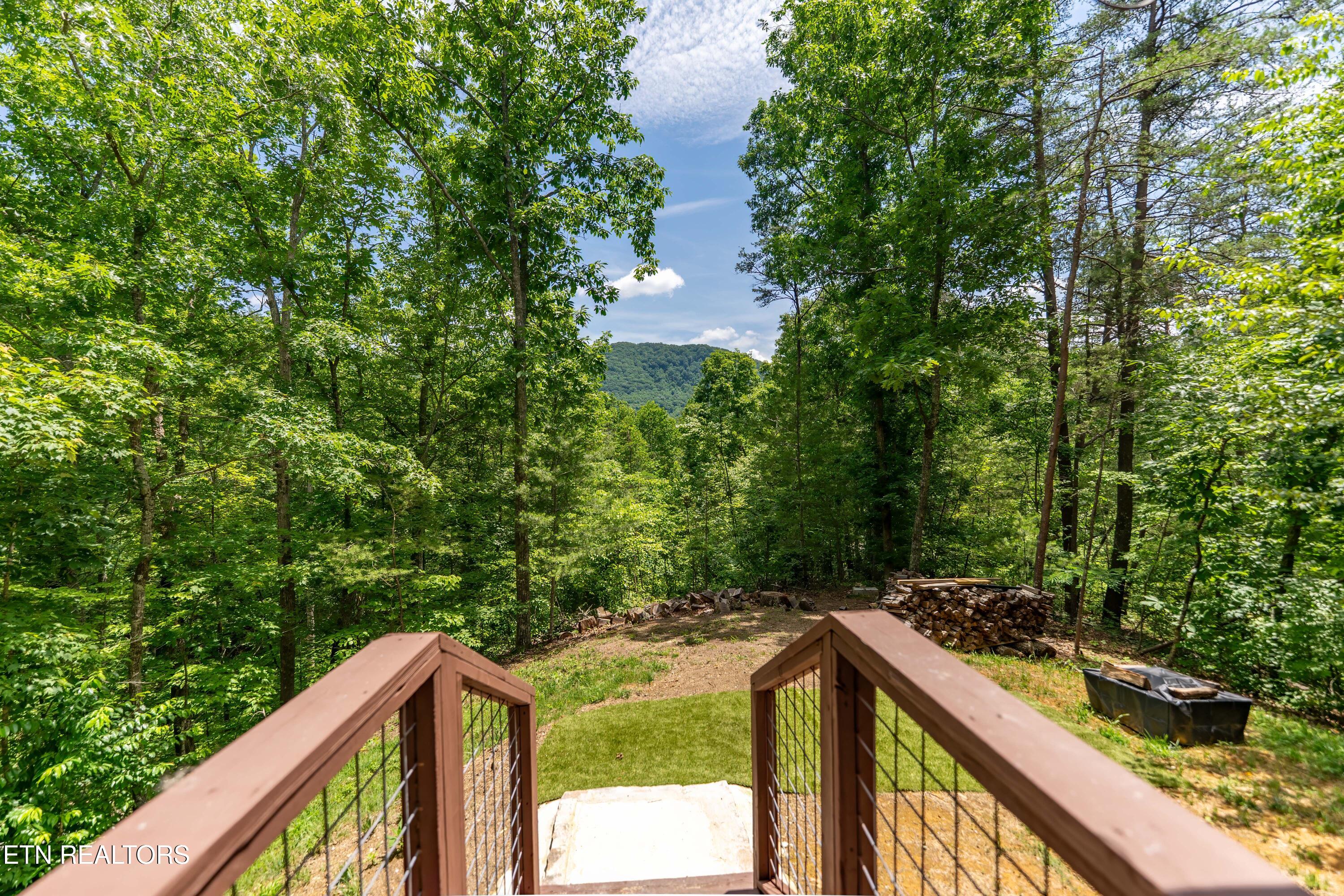 3040 Patty View Way Pigeon Forge TN 37862