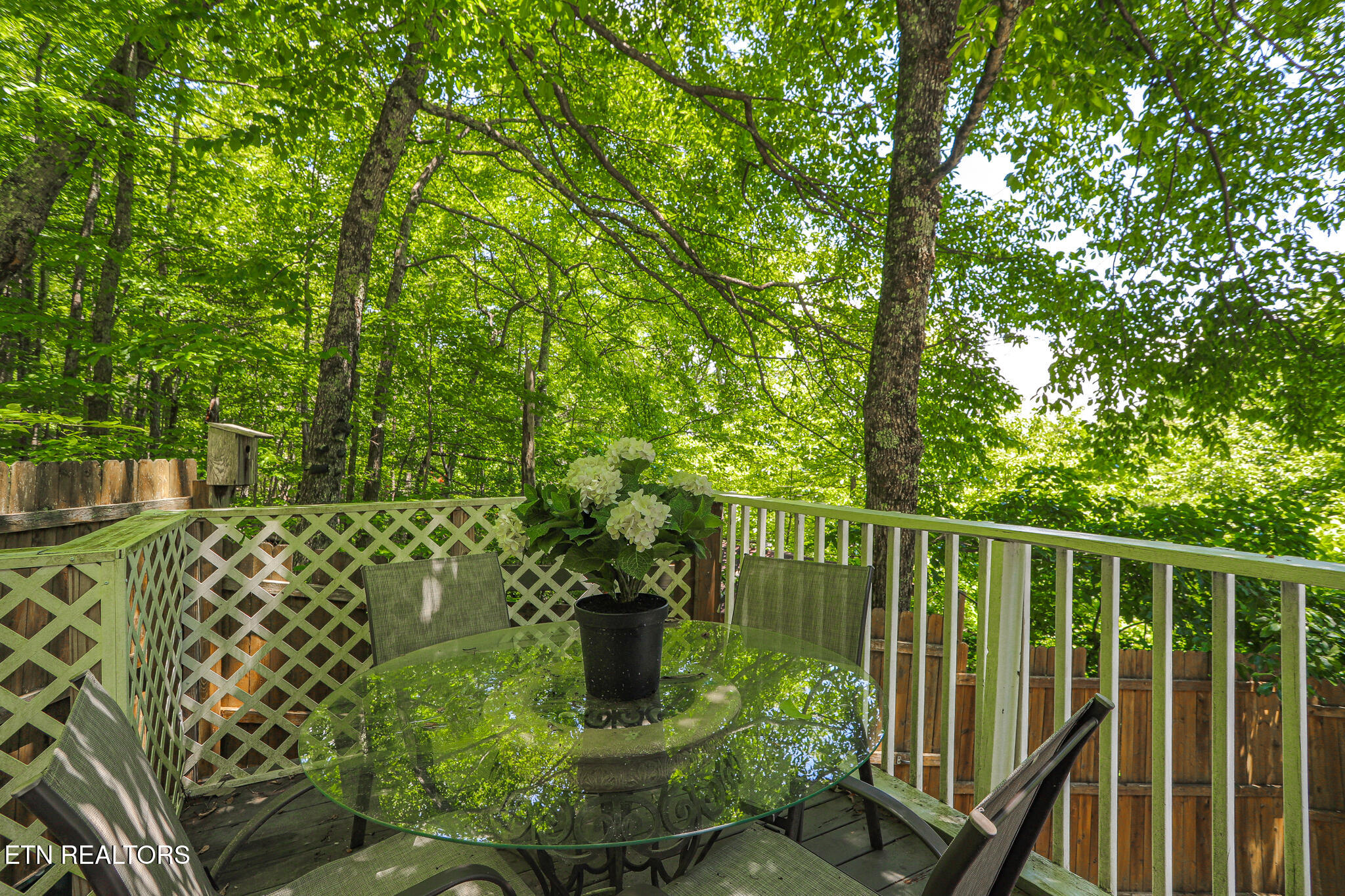 2592 Bluff Mountain Road Sevierville TN 37876