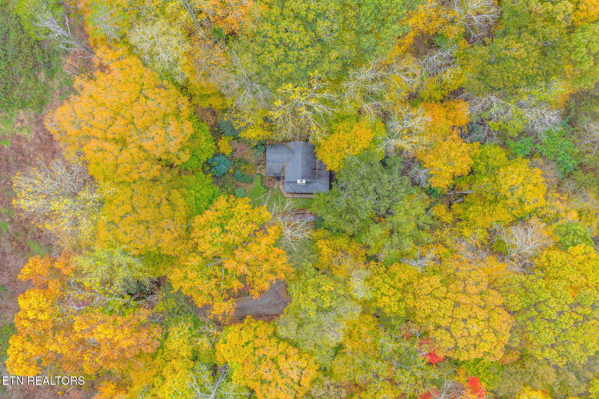 205 Tobby Hollow Lane Knoxville TN 37931