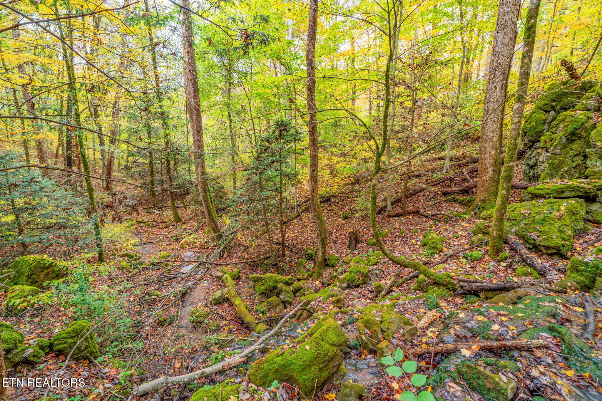 205 Tobby Hollow Lane Knoxville TN 37931