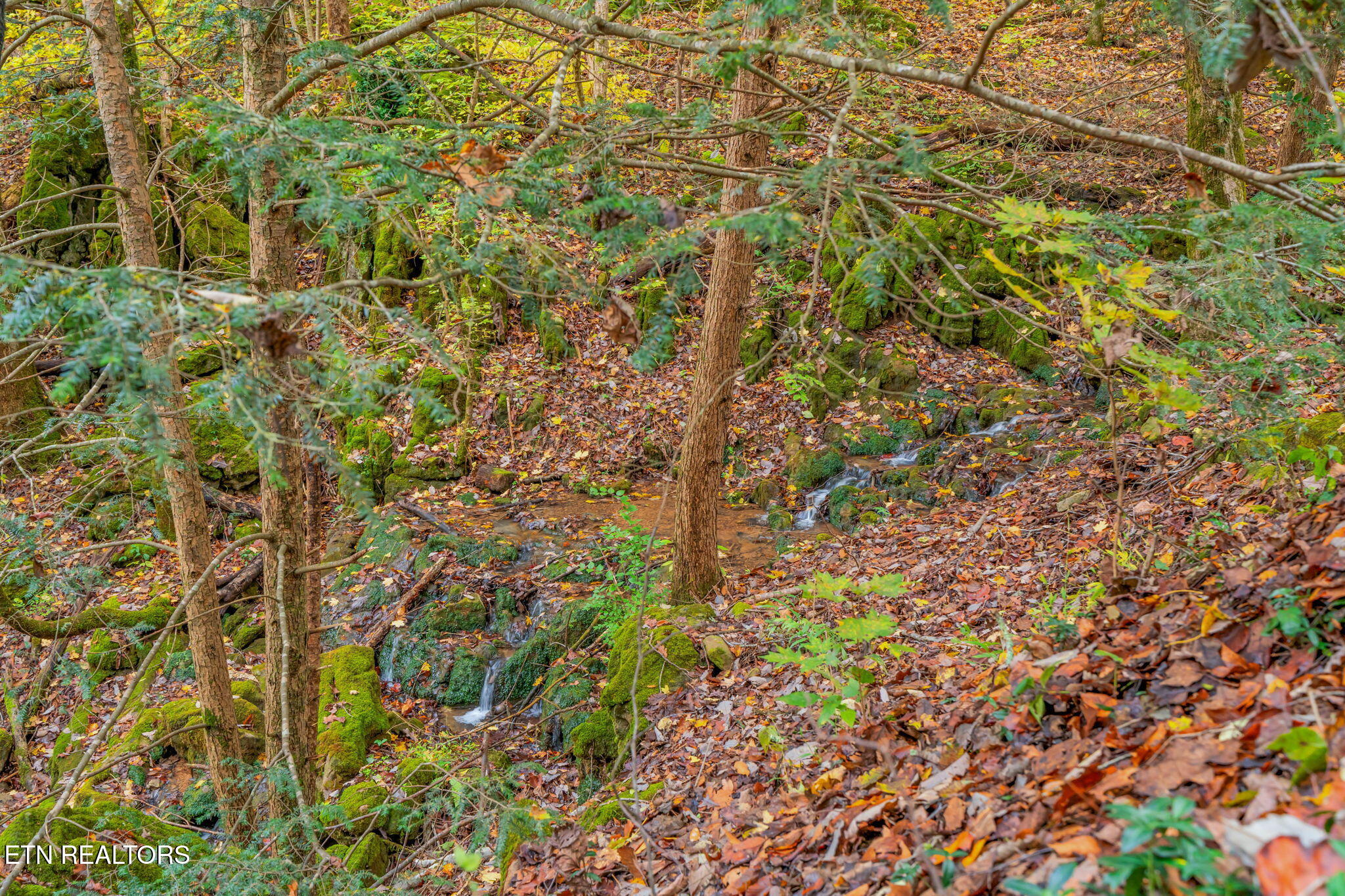 205 Tobby Hollow Lane Knoxville TN 37931