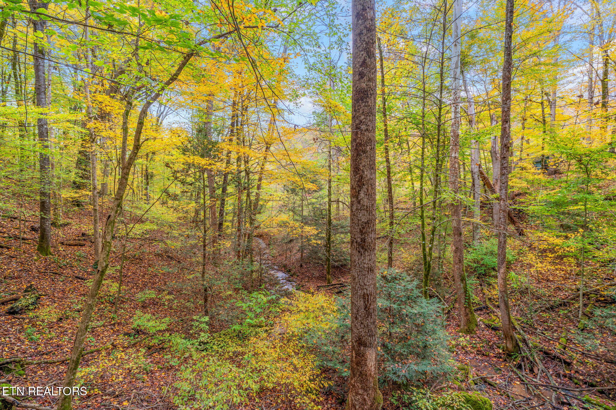 205 Tobby Hollow Lane Knoxville TN 37931
