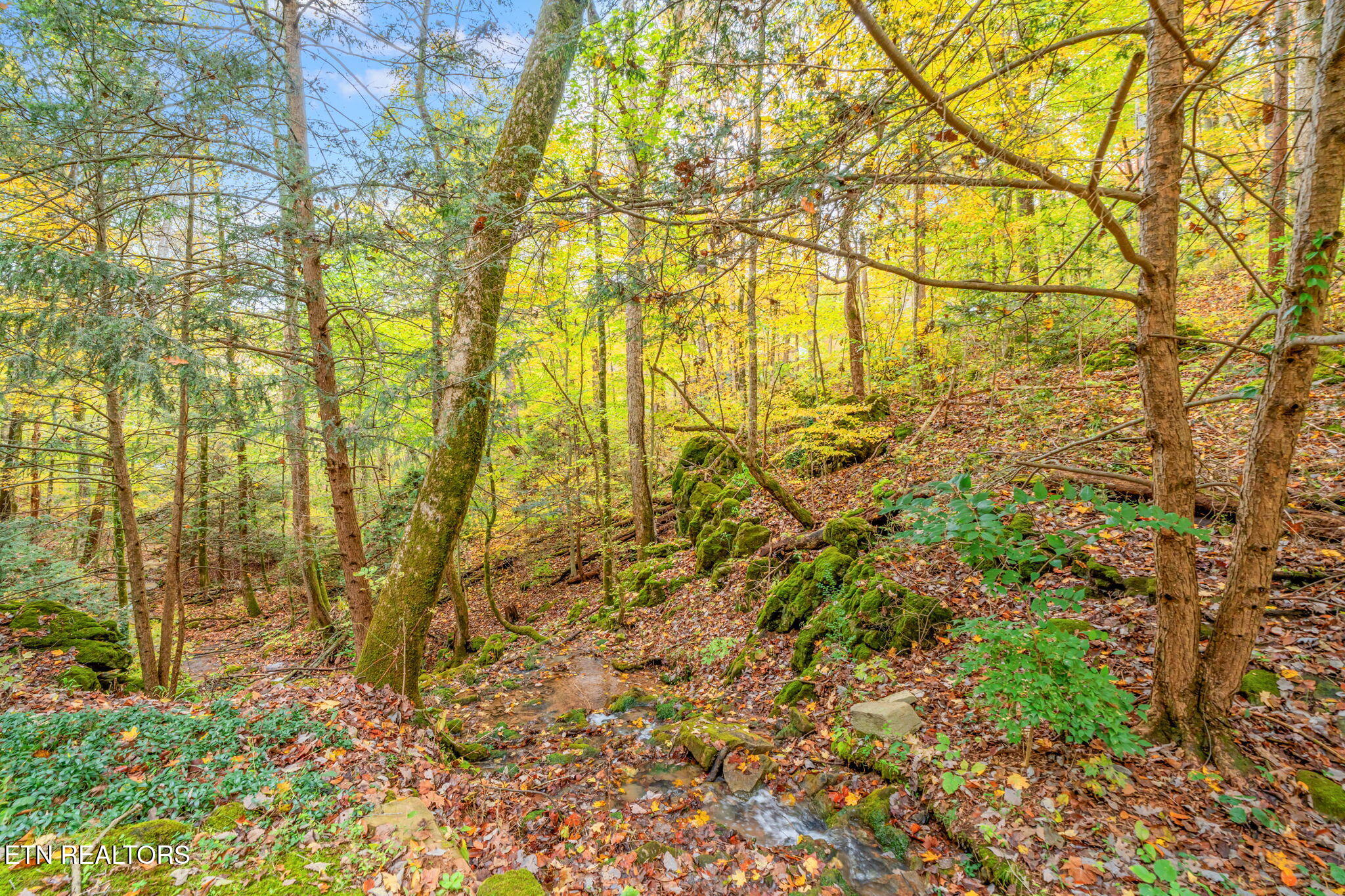 205 Tobby Hollow Lane Knoxville TN 37931