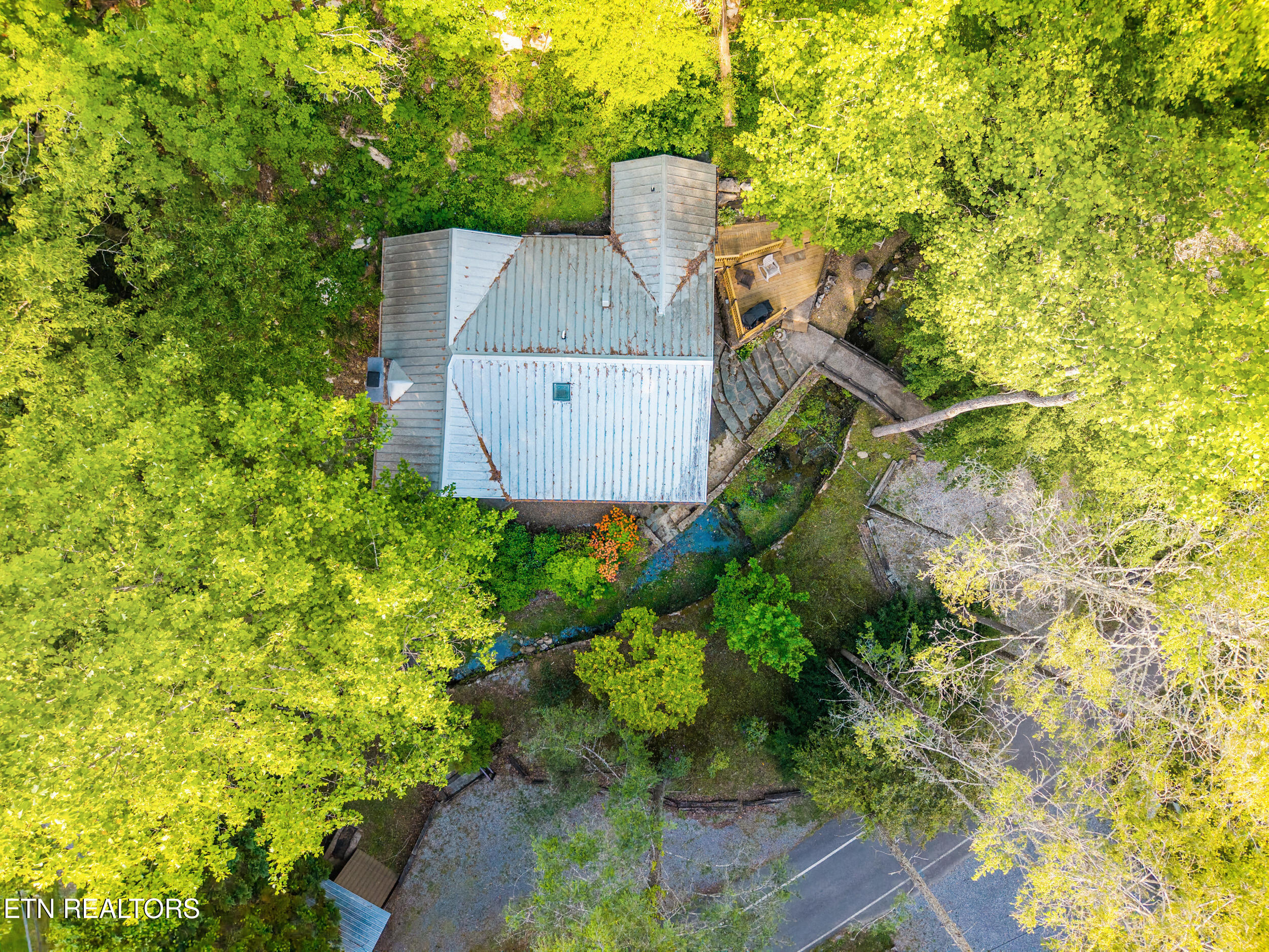 259 Black Mash Hollow Road Townsend TN 37882