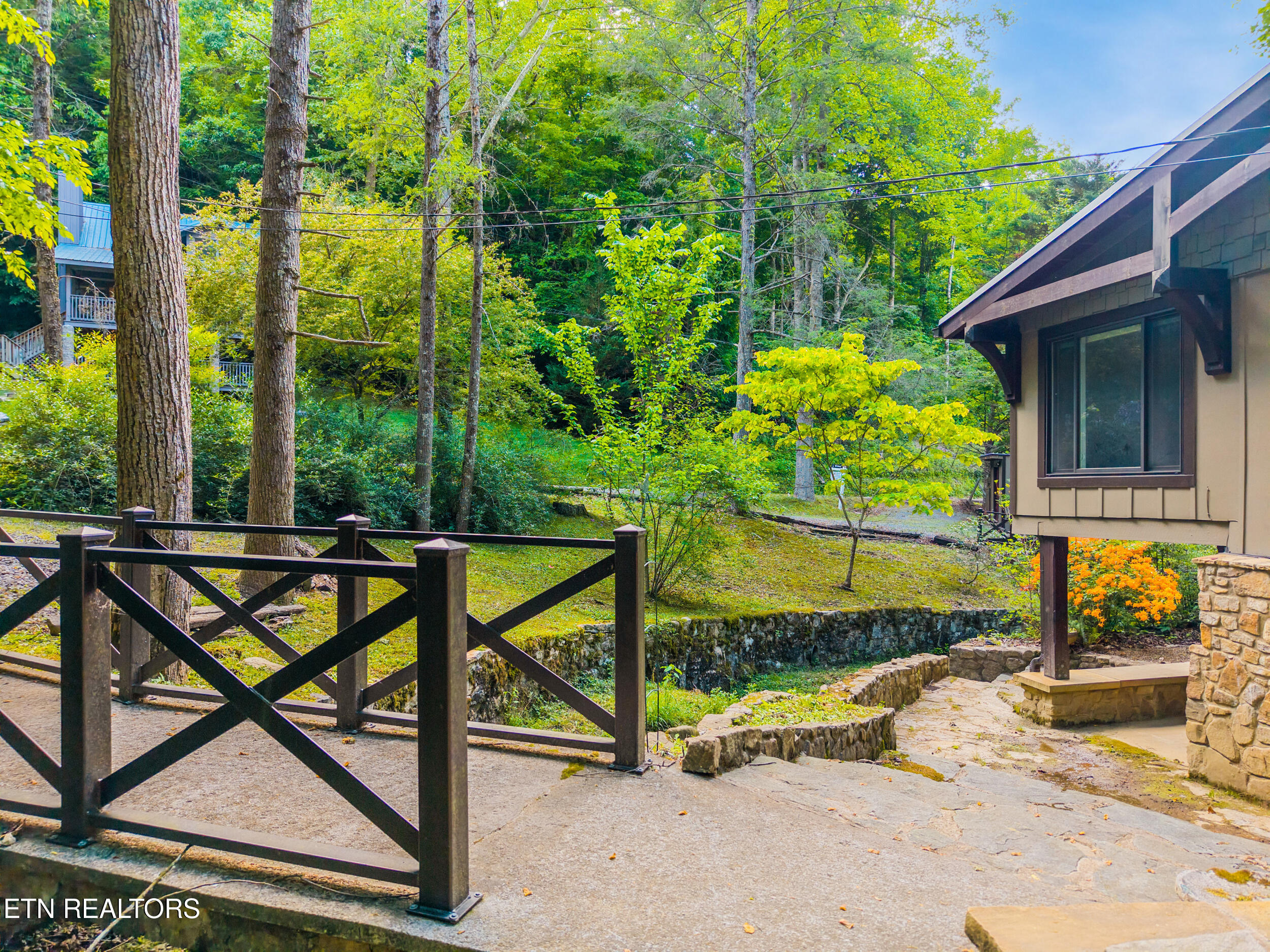259 Black Mash Hollow Road Townsend TN 37882