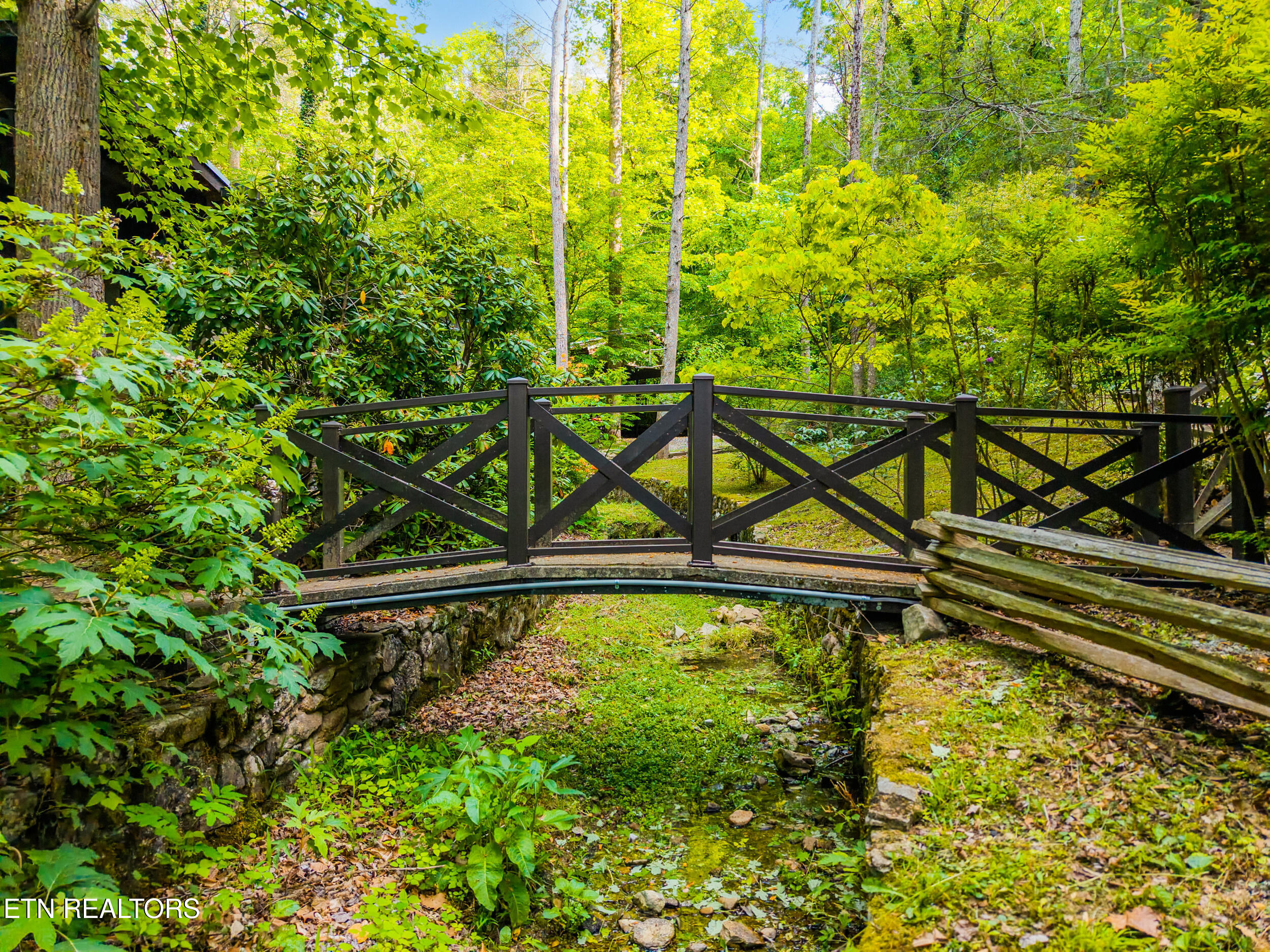 259 Black Mash Hollow Road Townsend TN 37882