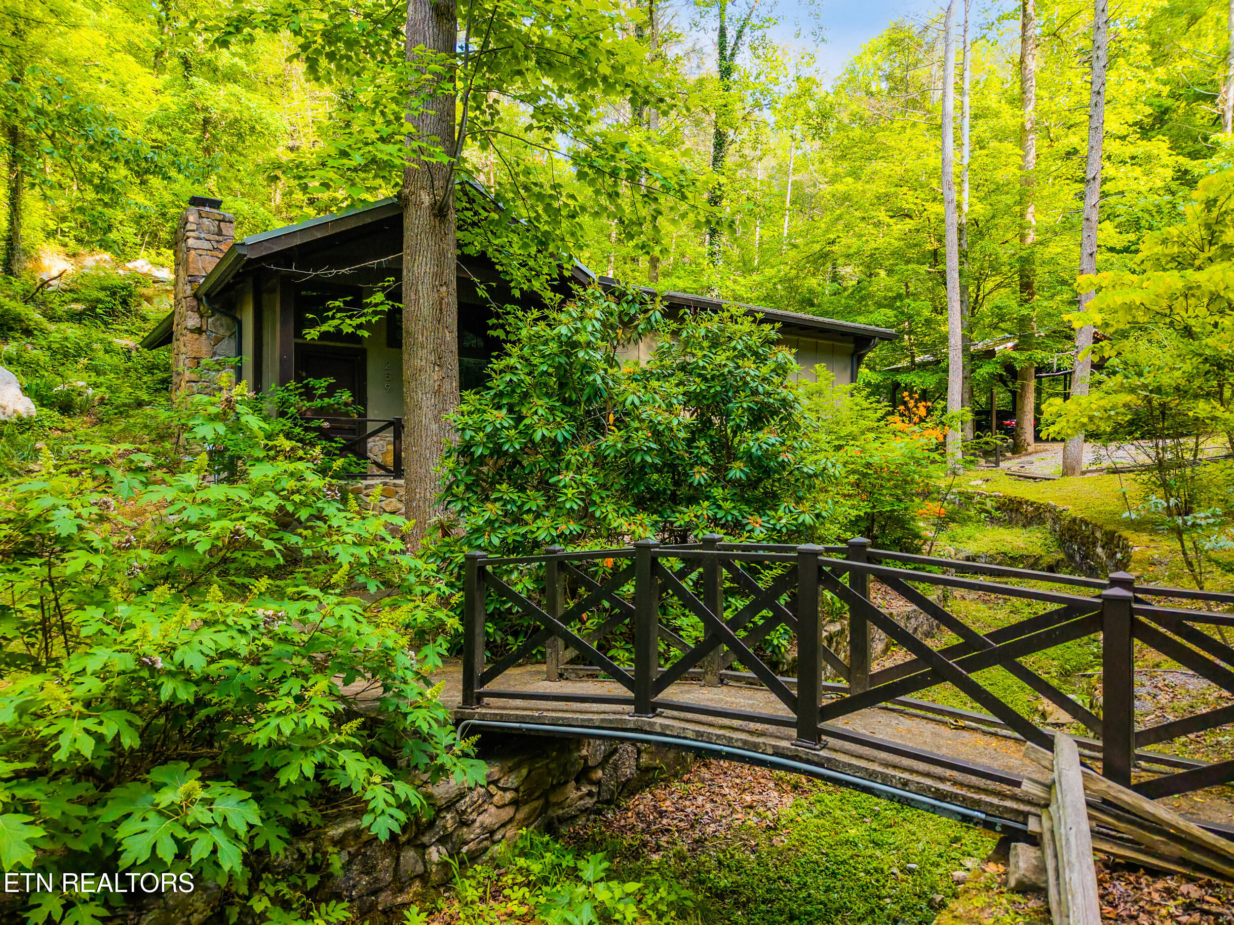 259 Black Mash Hollow Road Townsend TN 37882