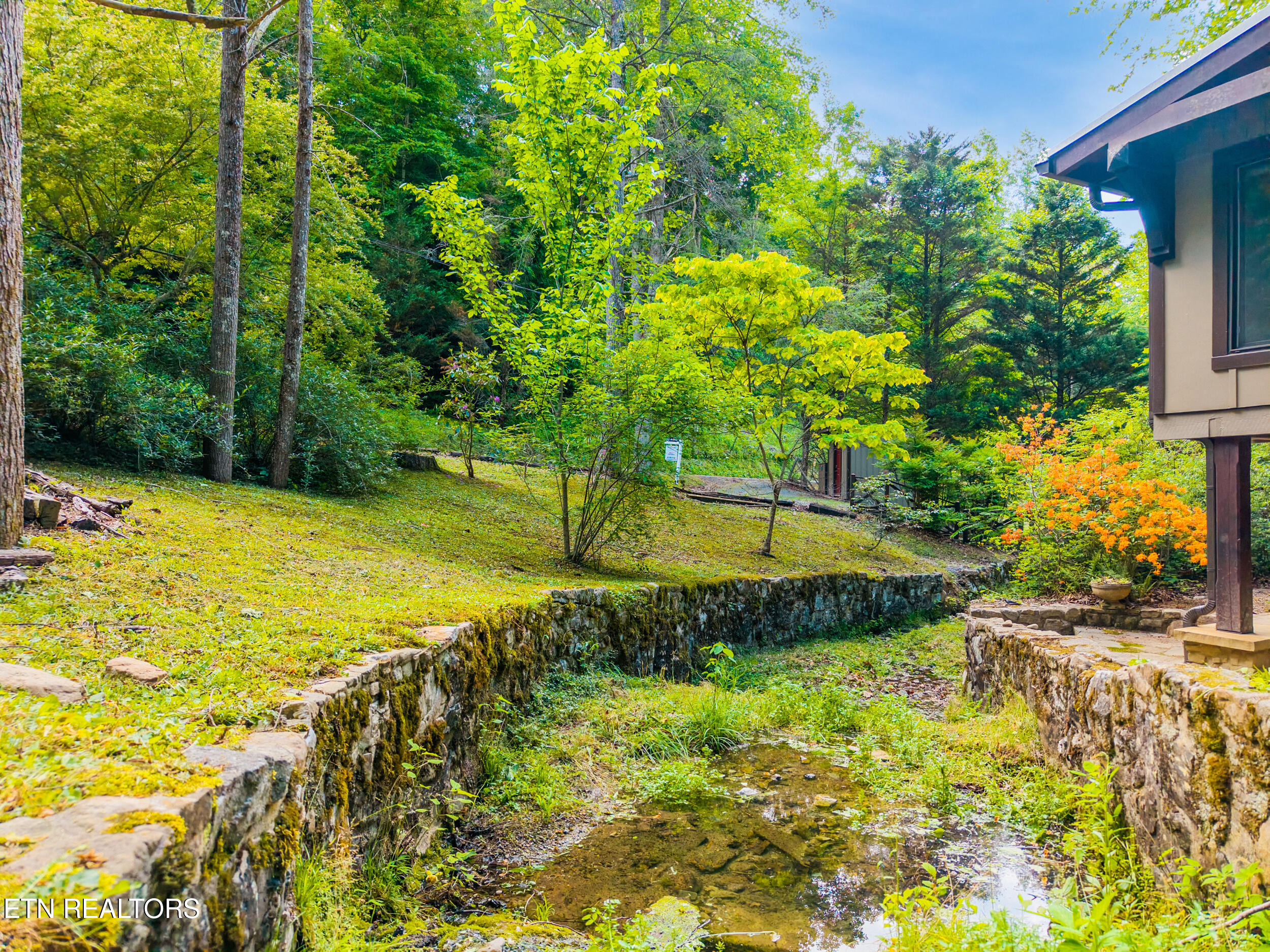 259 Black Mash Hollow Road Townsend TN 37882