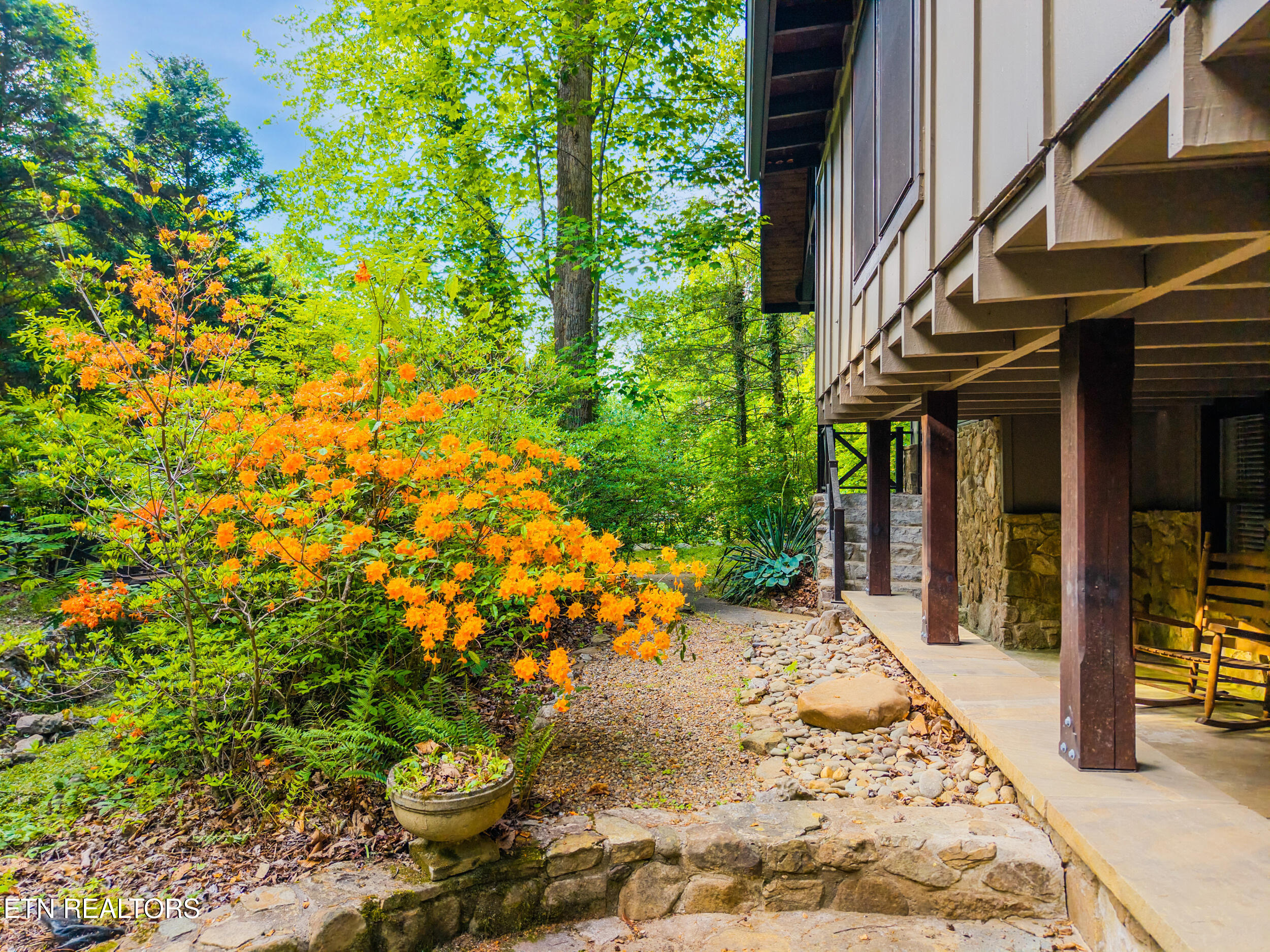 259 Black Mash Hollow Road Townsend TN 37882