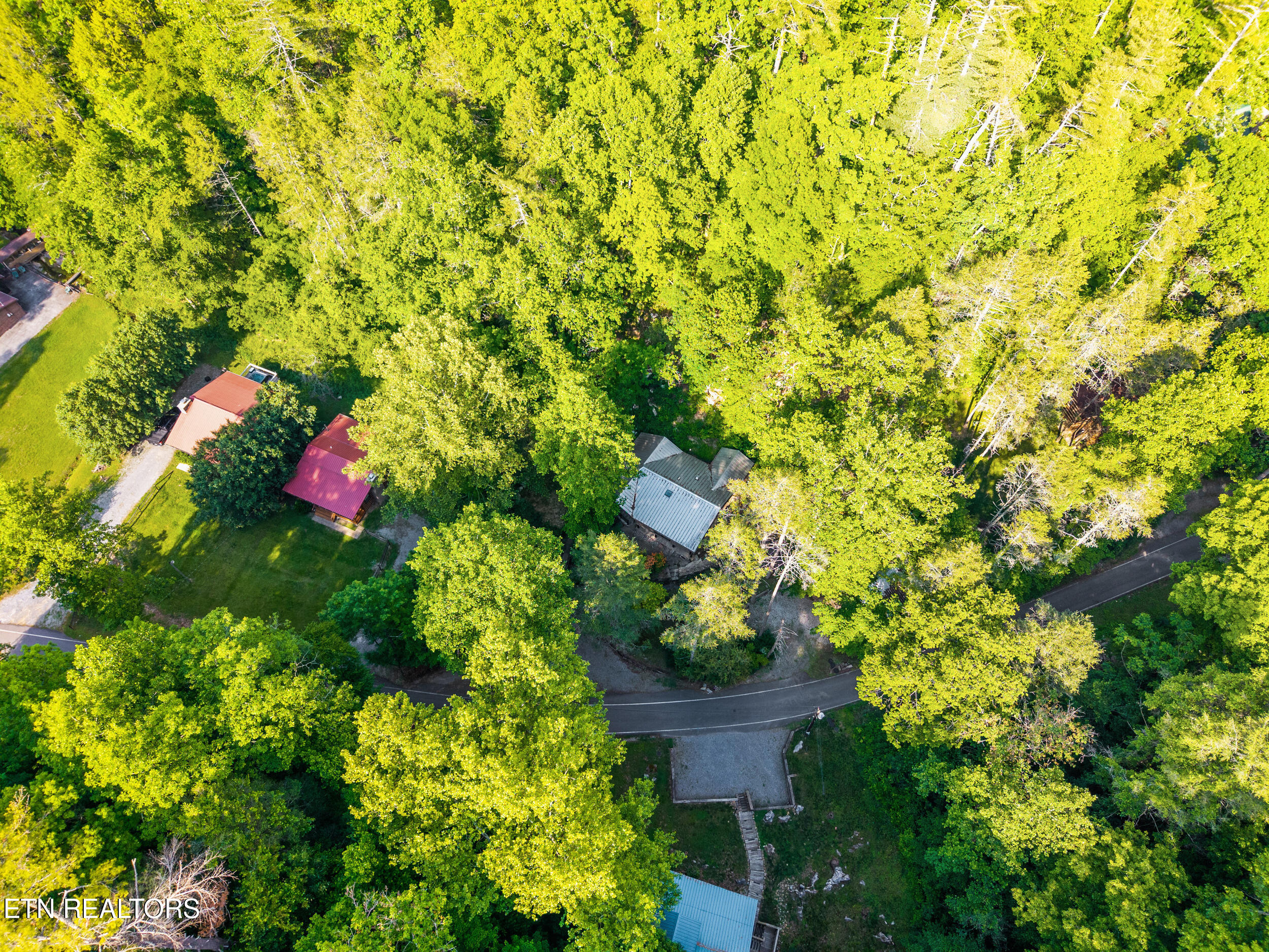 259 Black Mash Hollow Road Townsend TN 37882