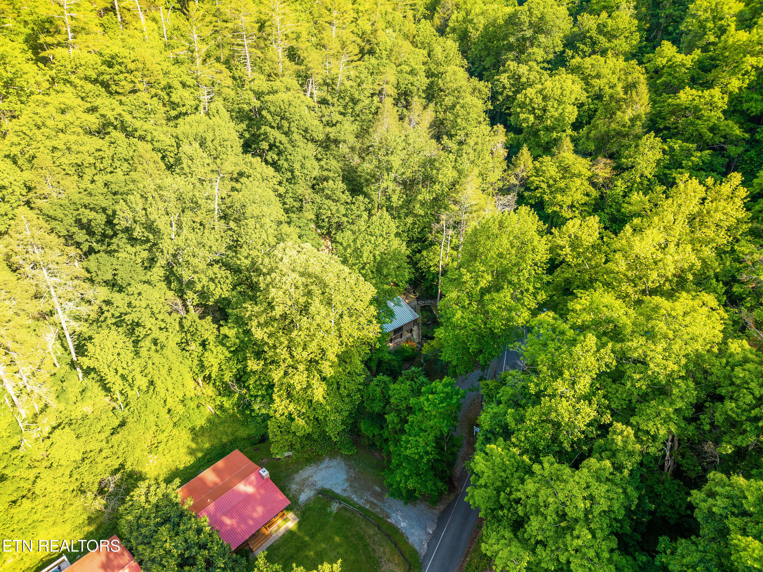 259 Black Mash Hollow Road Townsend TN 37882
