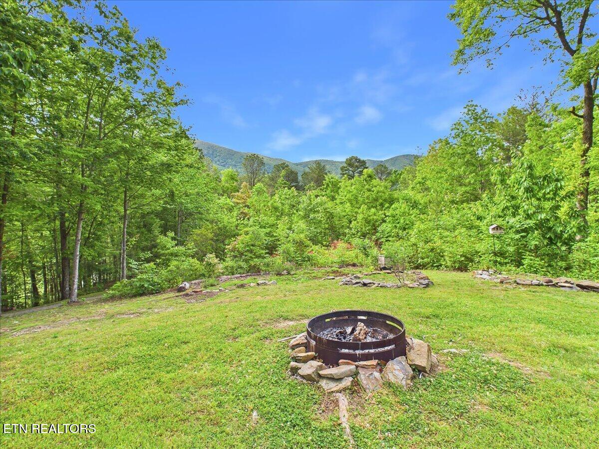 1457 Smithfield Road Tellico Plains TN 37385