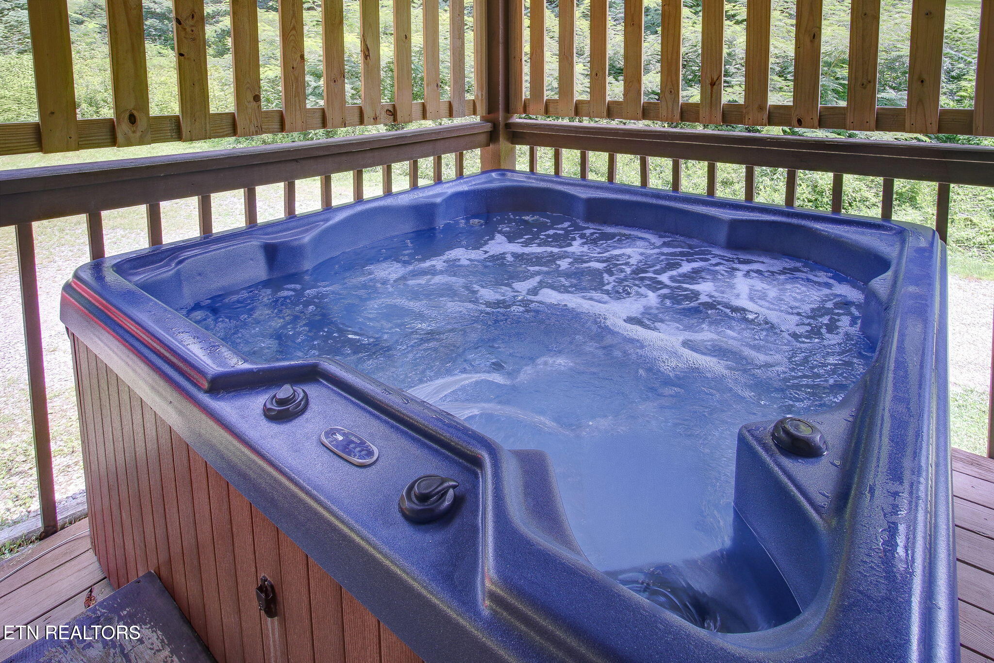 1999 E Mountain View Way Sevierville TN 37876