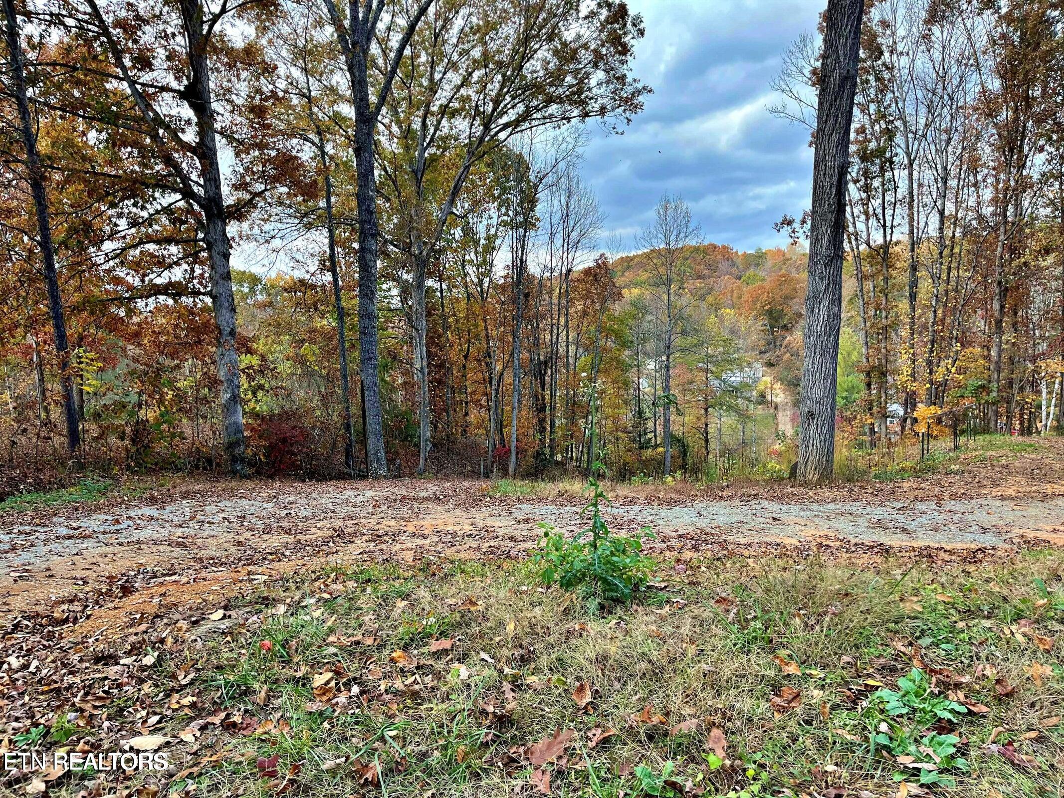 575 Jd Walden Road Ten Mile TN 37880